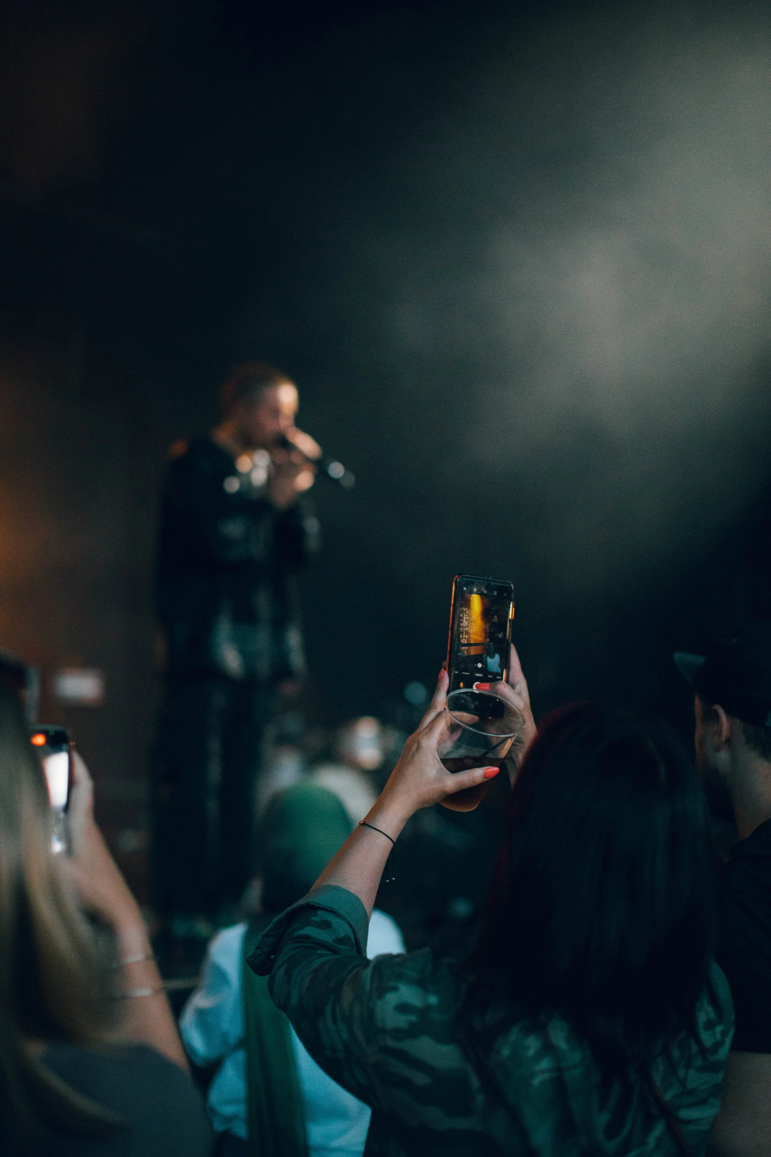 Dermot Kennedy Concert Photo