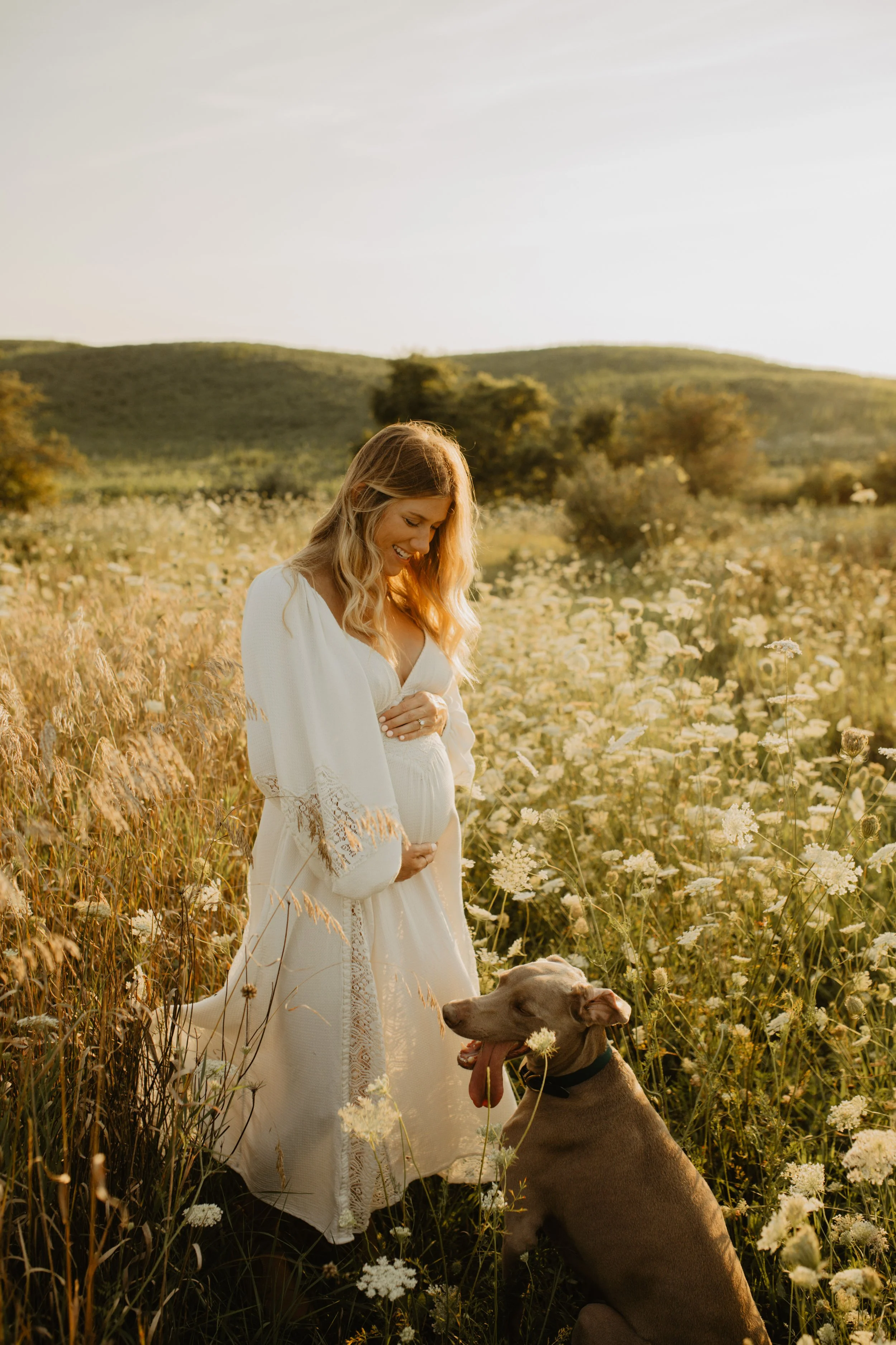 A pregnant woman in a white dress standing in a field of flowers with a large dog sitting beside her, during sunset.