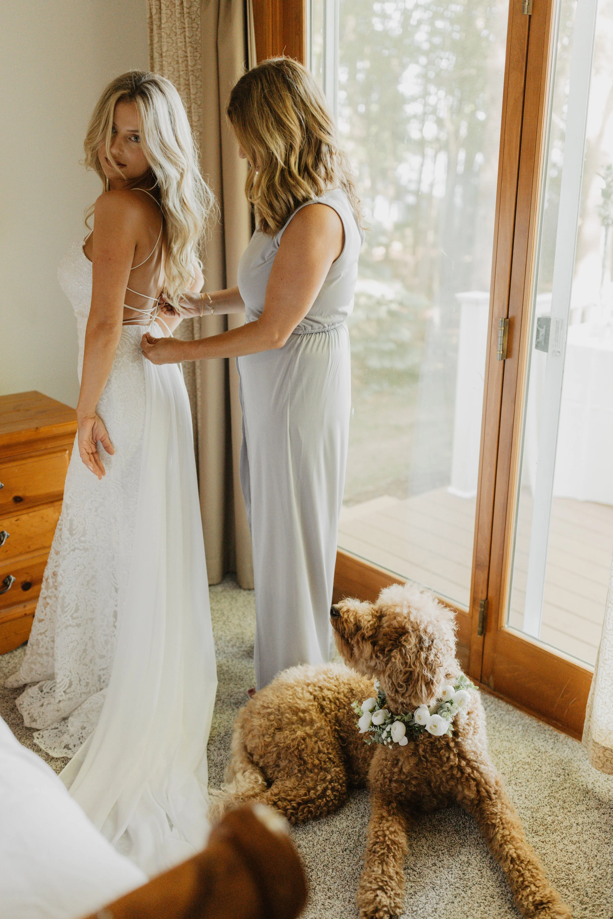 A woman helping a bride with her wedding dress in a room, with a dog sitting nearby wearing a flower collar, and looking towards the woman.