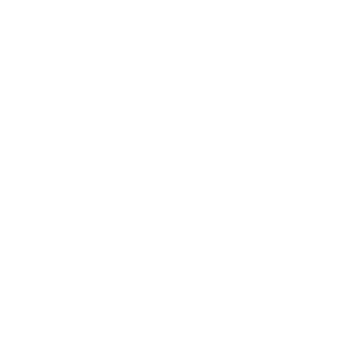 The General Designer