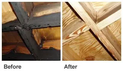 Fire Damage Restoration