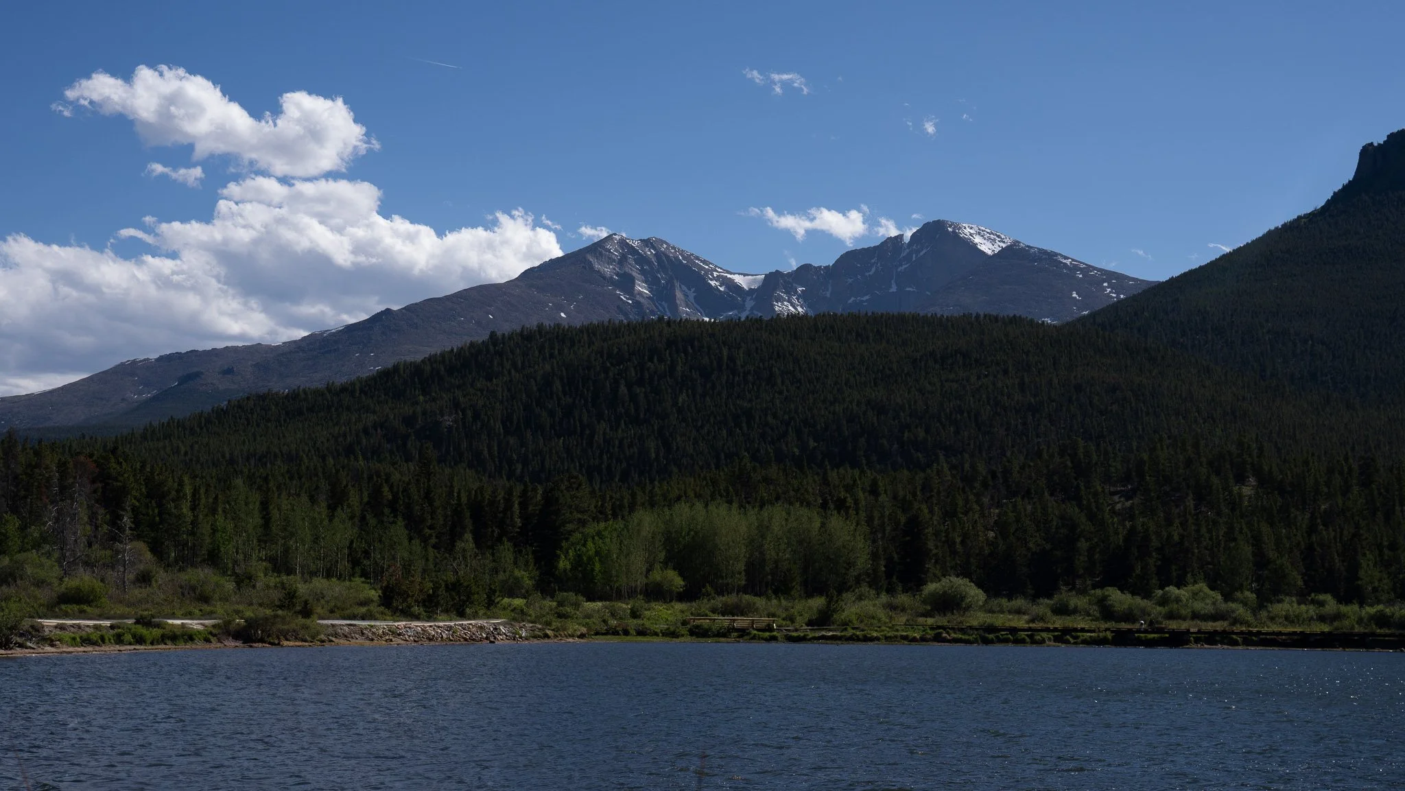 _DSC0892.jpg