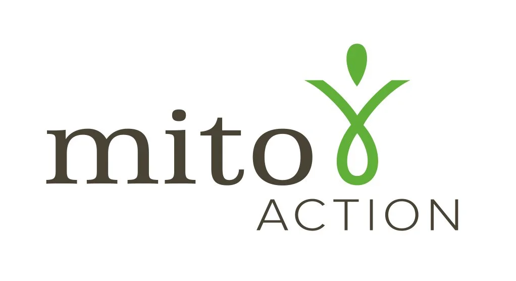 Logo for Mito Action featuring the word "mito" in lowercase with a green symbol resembling a stylized mitochondrion above the letter "o," and the word "ACTION" in uppercase below.