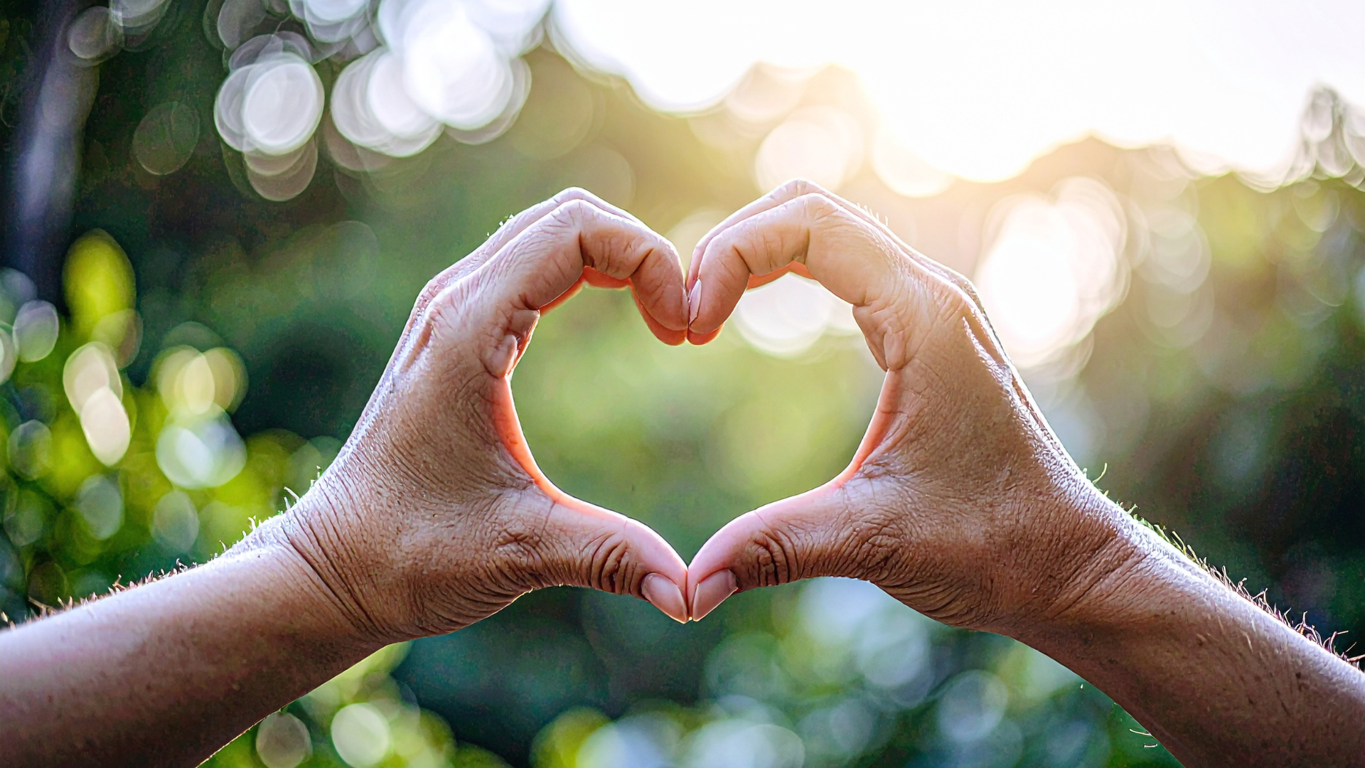 Two hands form a heart shape against a blurred outdoor background with sunlight and bokeh.