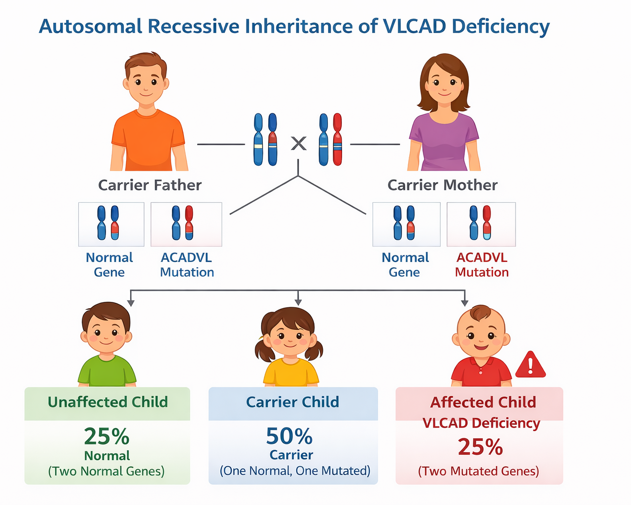 Diagram illustrating autosomal recessive inheritance of VLCAD deficiency, showing carrier parents with one normal and one mutant gene each, and their children: unaffected, carrier, and affected with VLCAD deficiency.