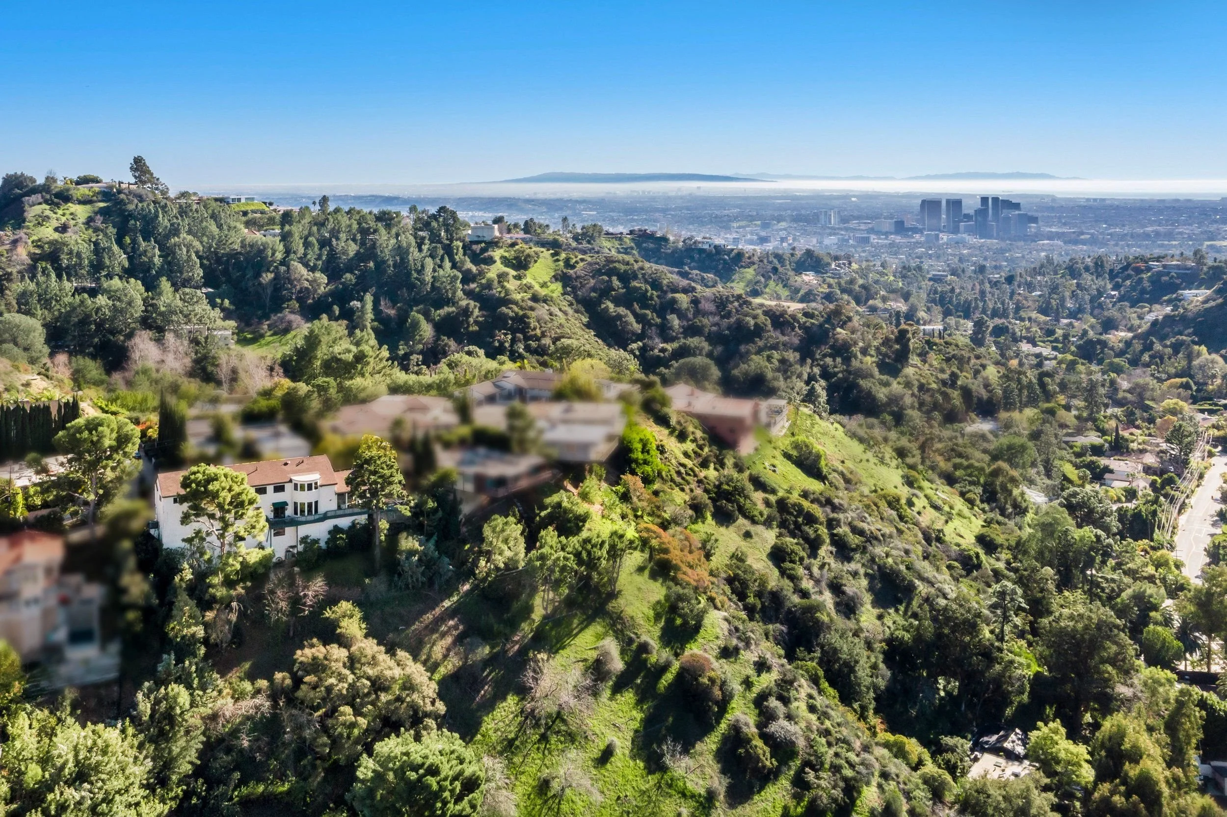 A landscape view of a hillside filled with green trees and houses, with a city skyline and mountains in the distance under a clear blue sky.