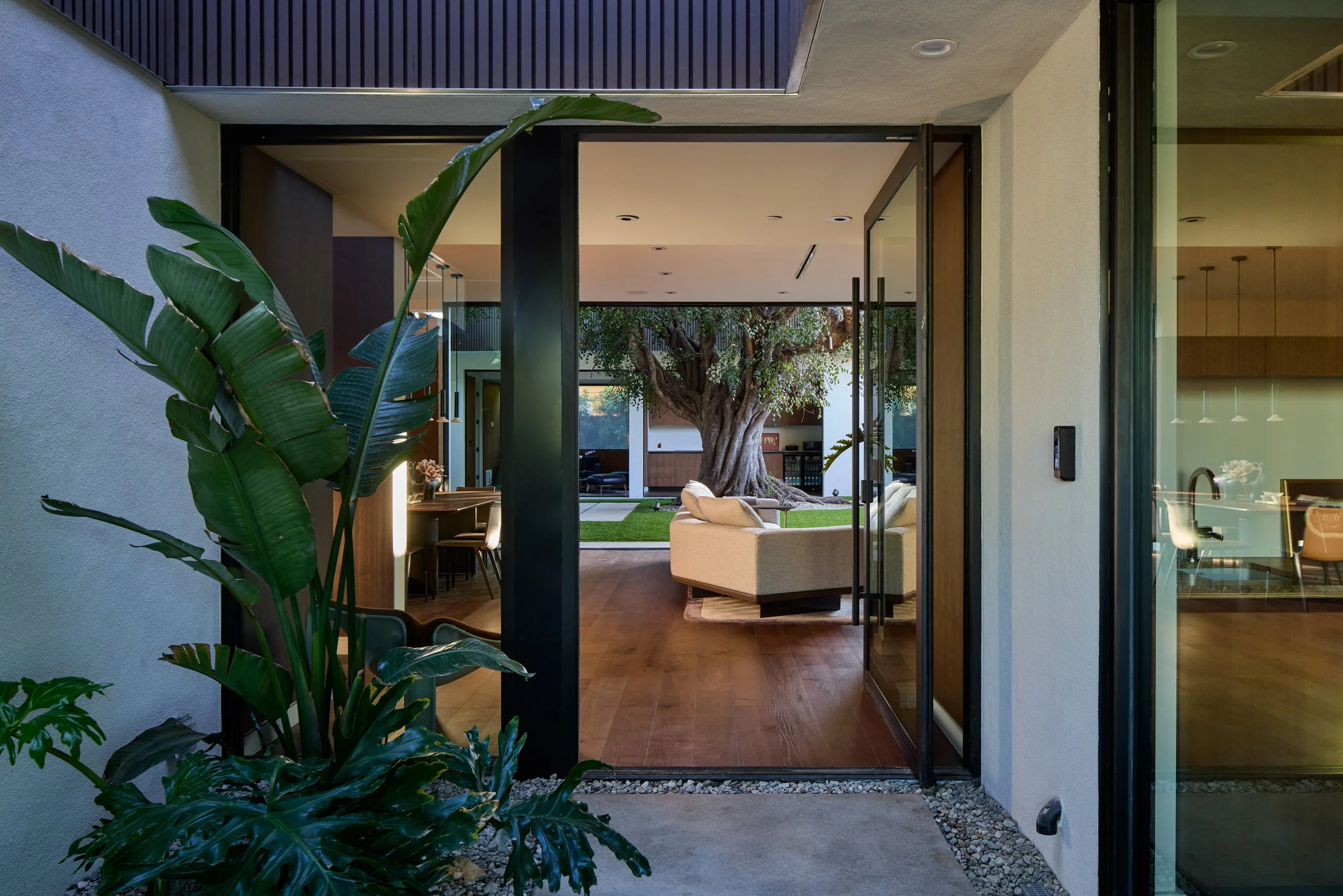 View through glass doors into a modern living room with a large tree inside. The room has a sitting area with an armchair, a wooden floor, and a outdoor backyard with a lawn and trees.