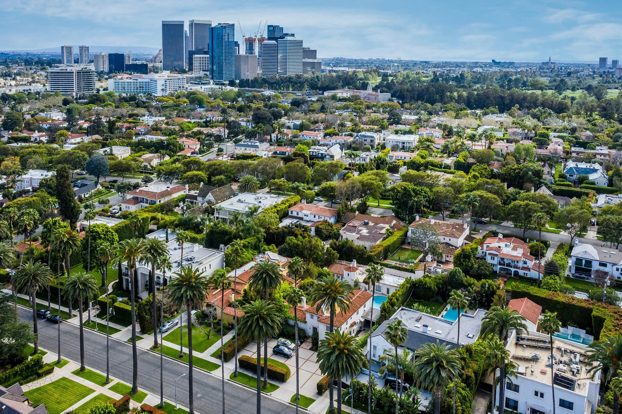 A cityscape featuring a neighborhood with houses and palm trees in the foreground and a cluster of tall modern skyscrapers in the background under a partly cloudy sky.