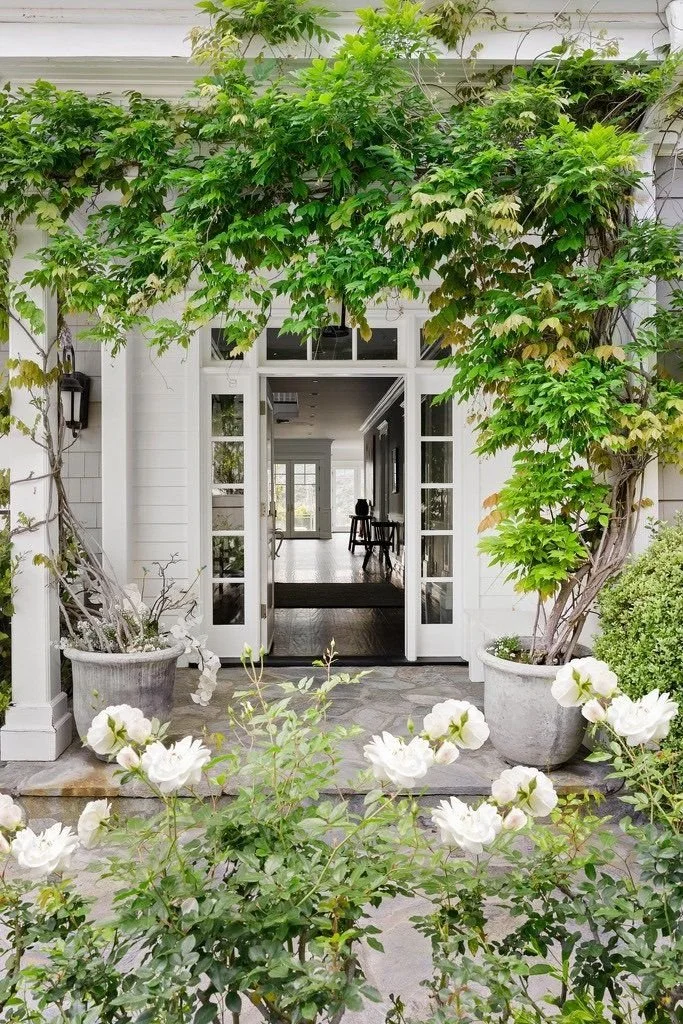White front door with glass panels, surrounded by green vines and plants in large pots, leading into a bright interior with wooden flooring.