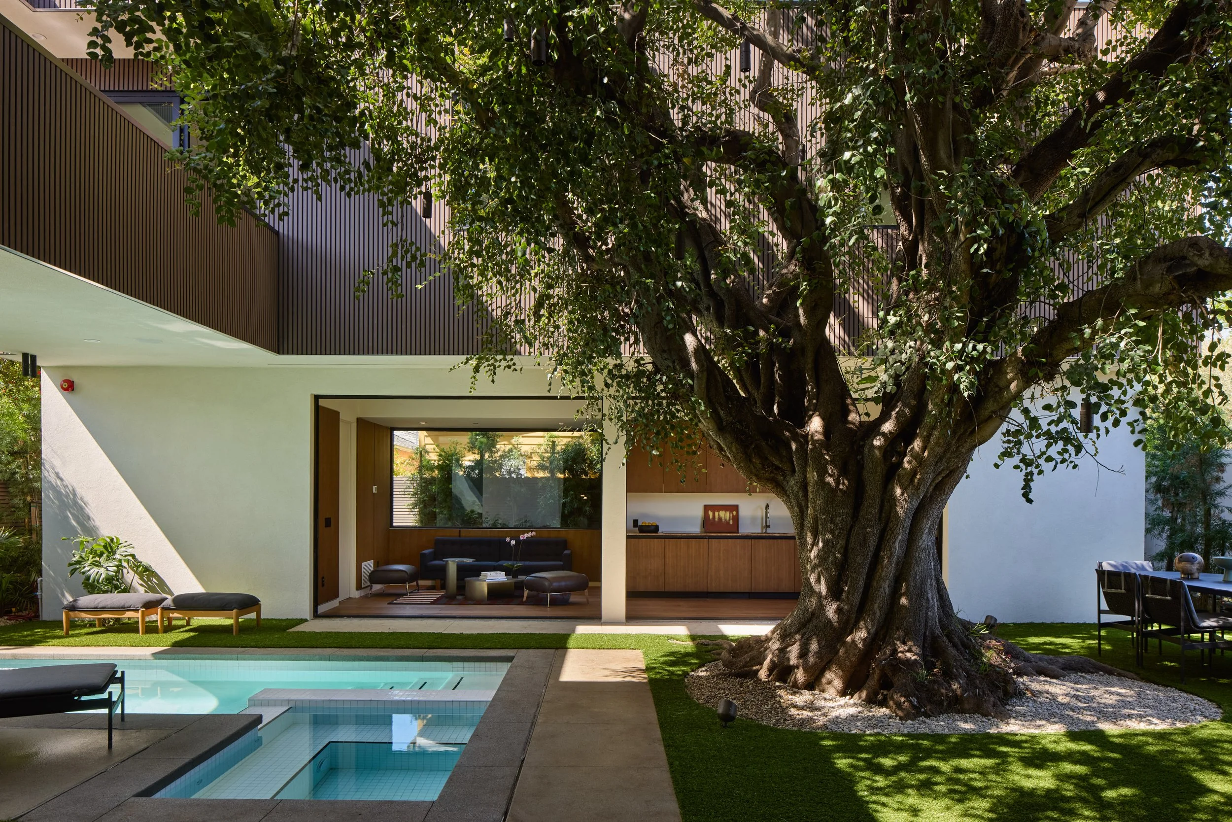 Modern house with large tree, swimming pool, outdoor seating area, and a view into indoor living space.