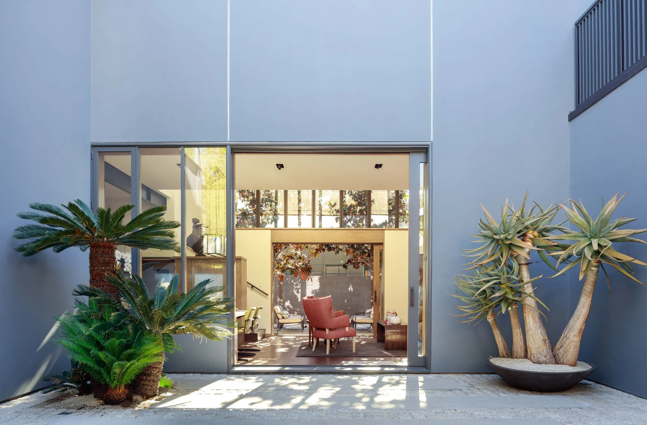 Modern building entryway with large glass doors, tropical plants including a palm and an agave, and an interior seating area visible through the glass.