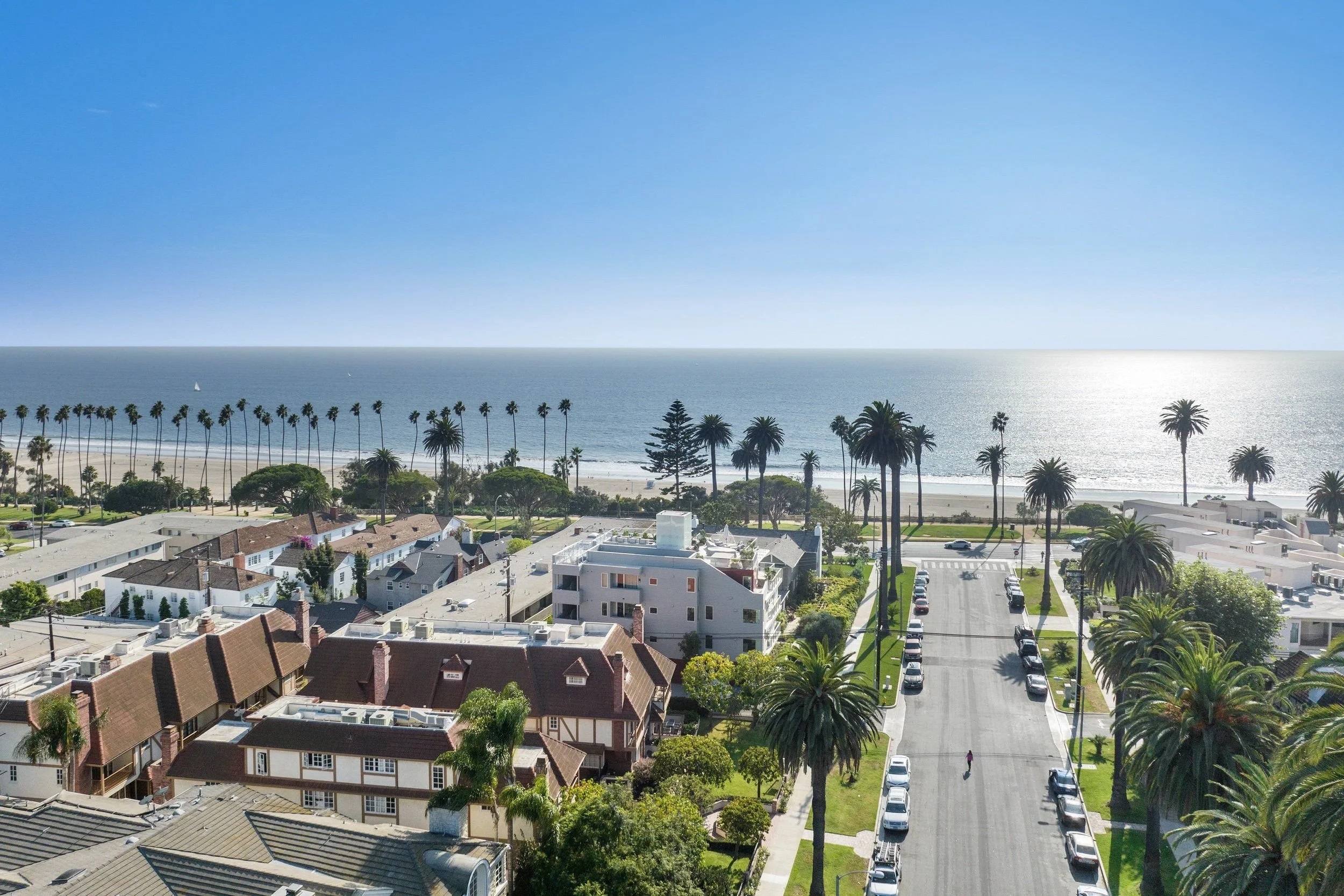 A sunny coastal neighborhood with a view of the ocean, palm trees lining the streets, and rooftops of residential buildings in the foreground.
