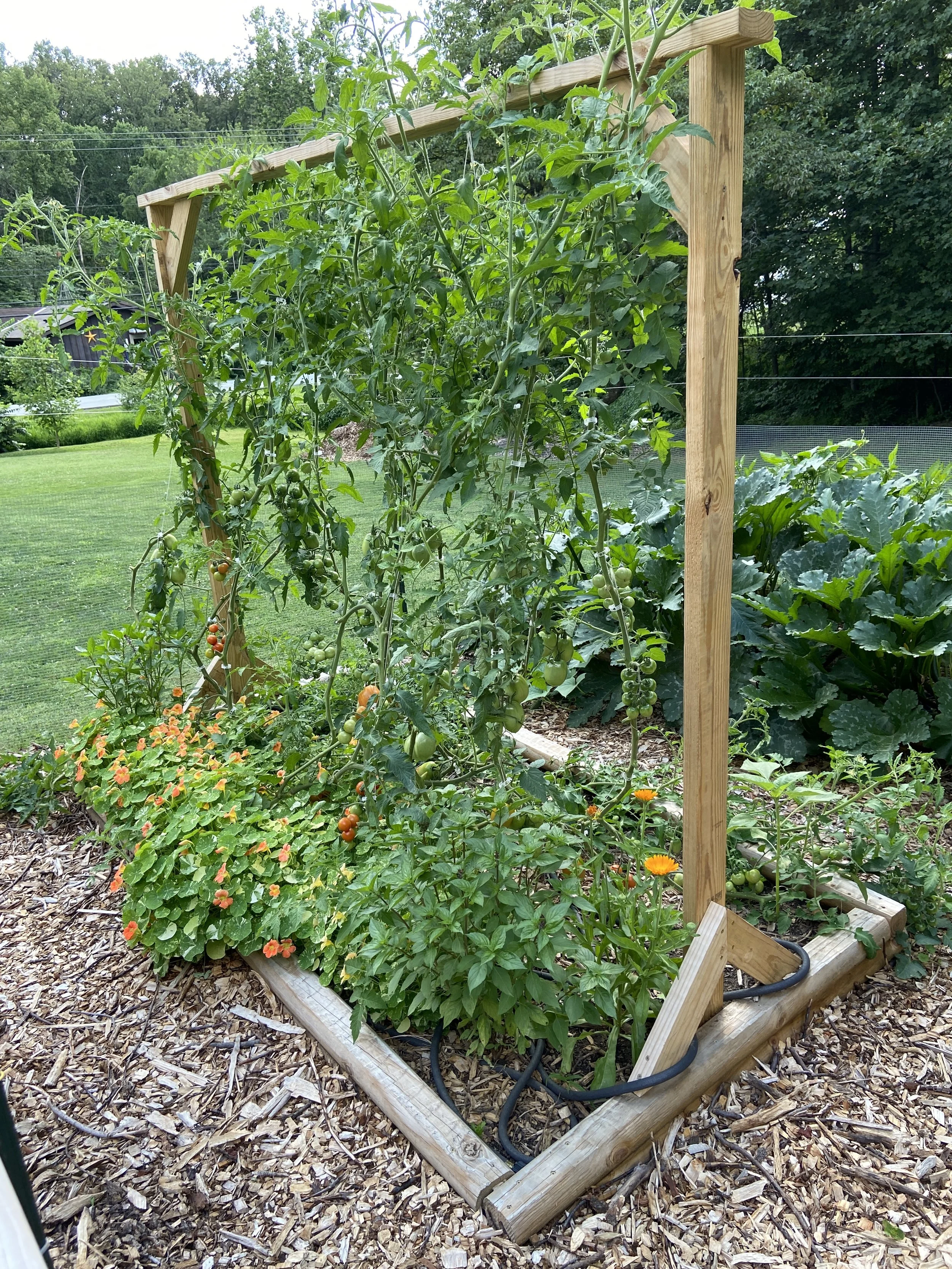 When Old Growth Crowds Future Growth