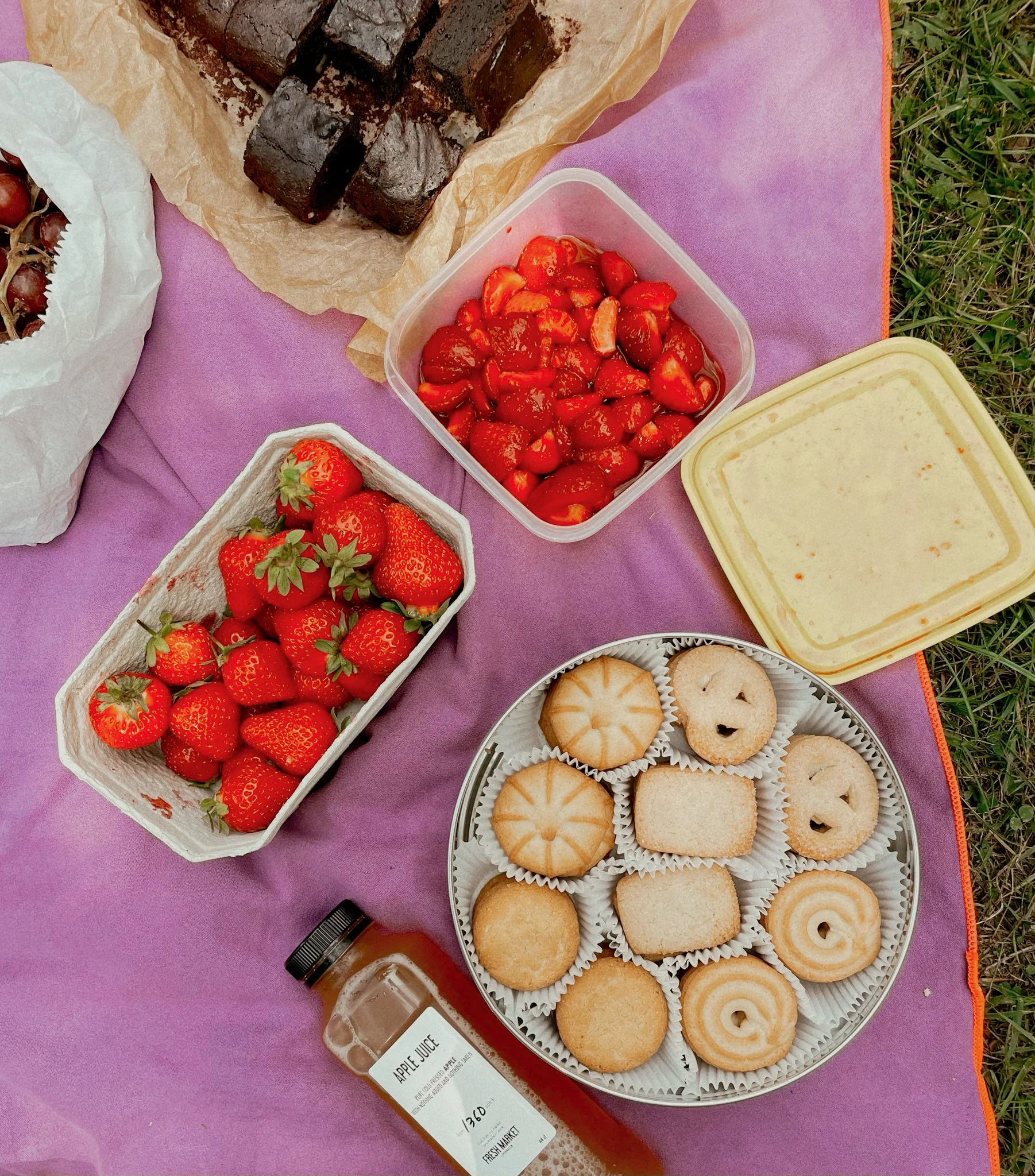 outdoor picnic aesthetic copenhagen denmark