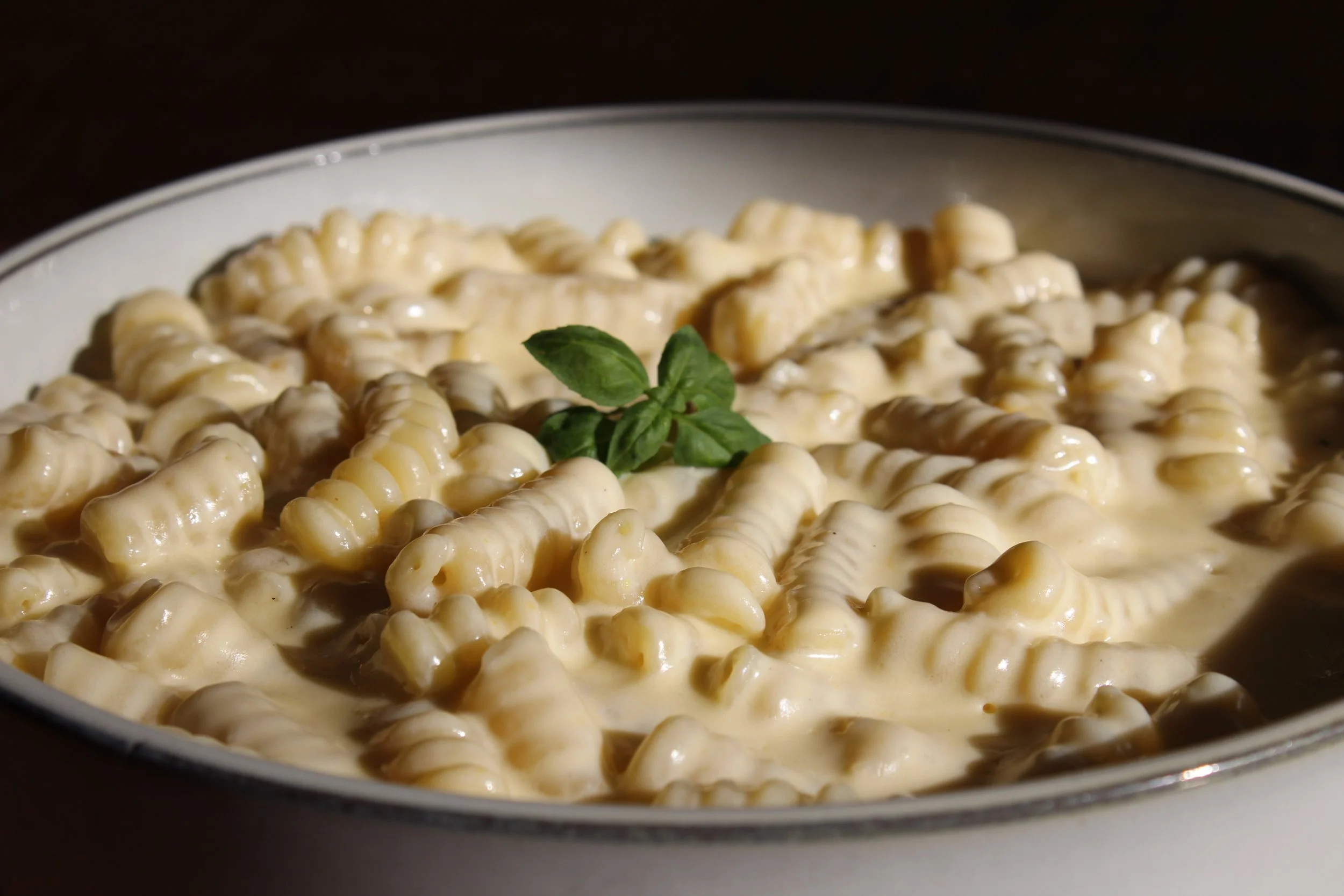 Bowl of creamy cheese tortellini garnished with a sprig of basil.