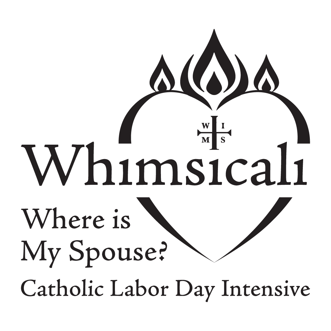 Commitmentism logos v3 CSI_CCD_WHIM RGB_WHIM BLACK.png