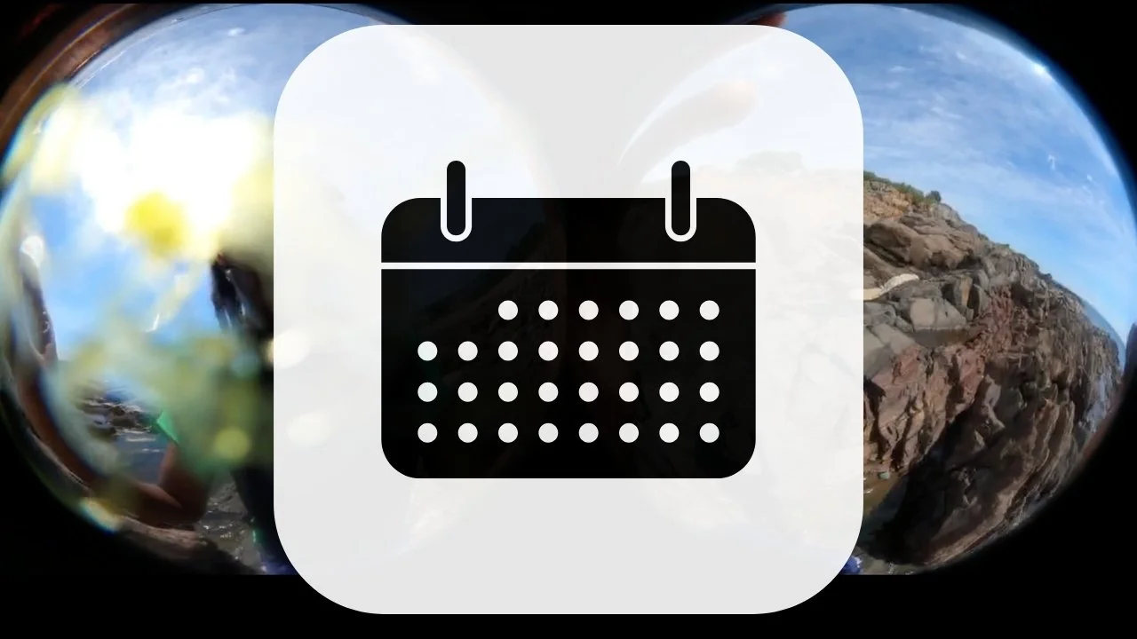 Reception for A.J. McClenon’s “Vega Travel Run Five Hundred and Ninety Eight to Three Hundred and Fifty Six”