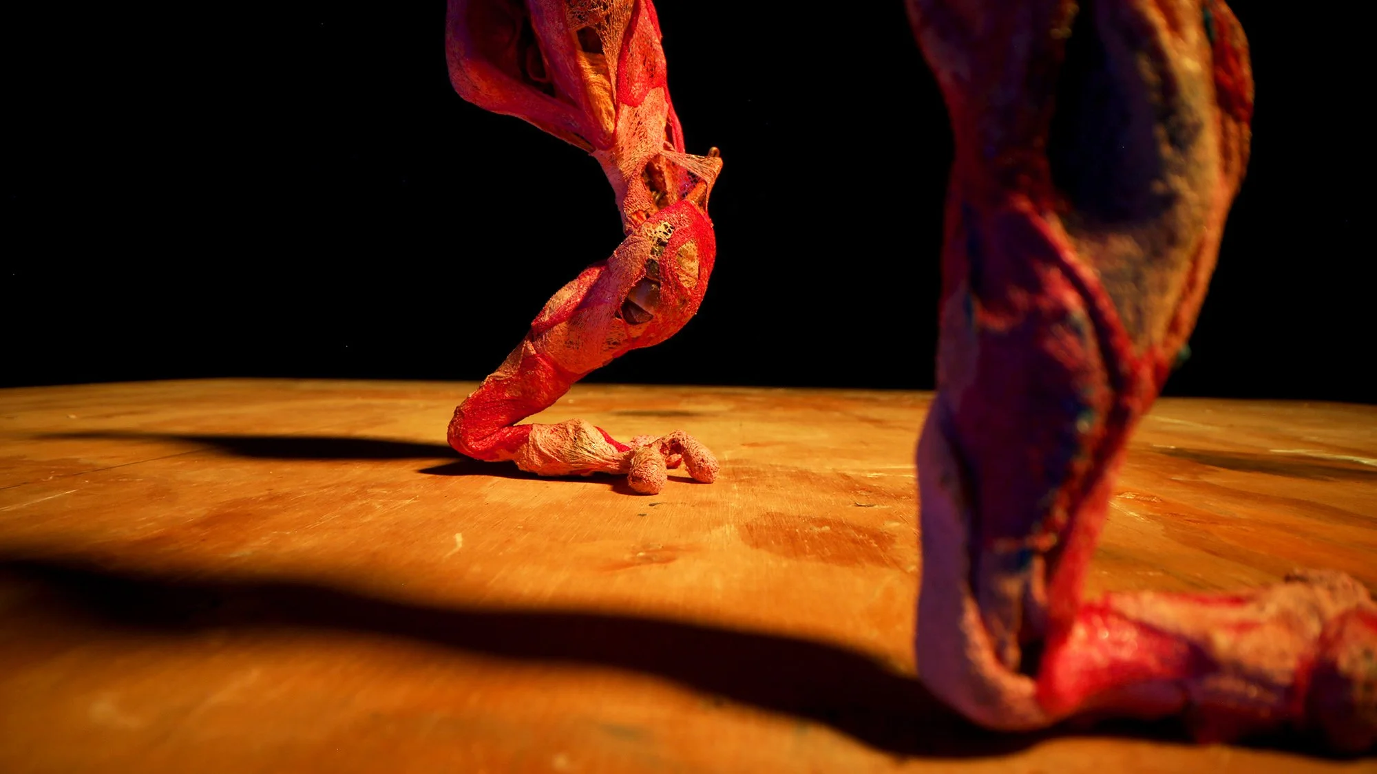 Stephanie J. Williams, The Expectation of the Observed, 2022	Stop motion video, and sound, 5:00 min