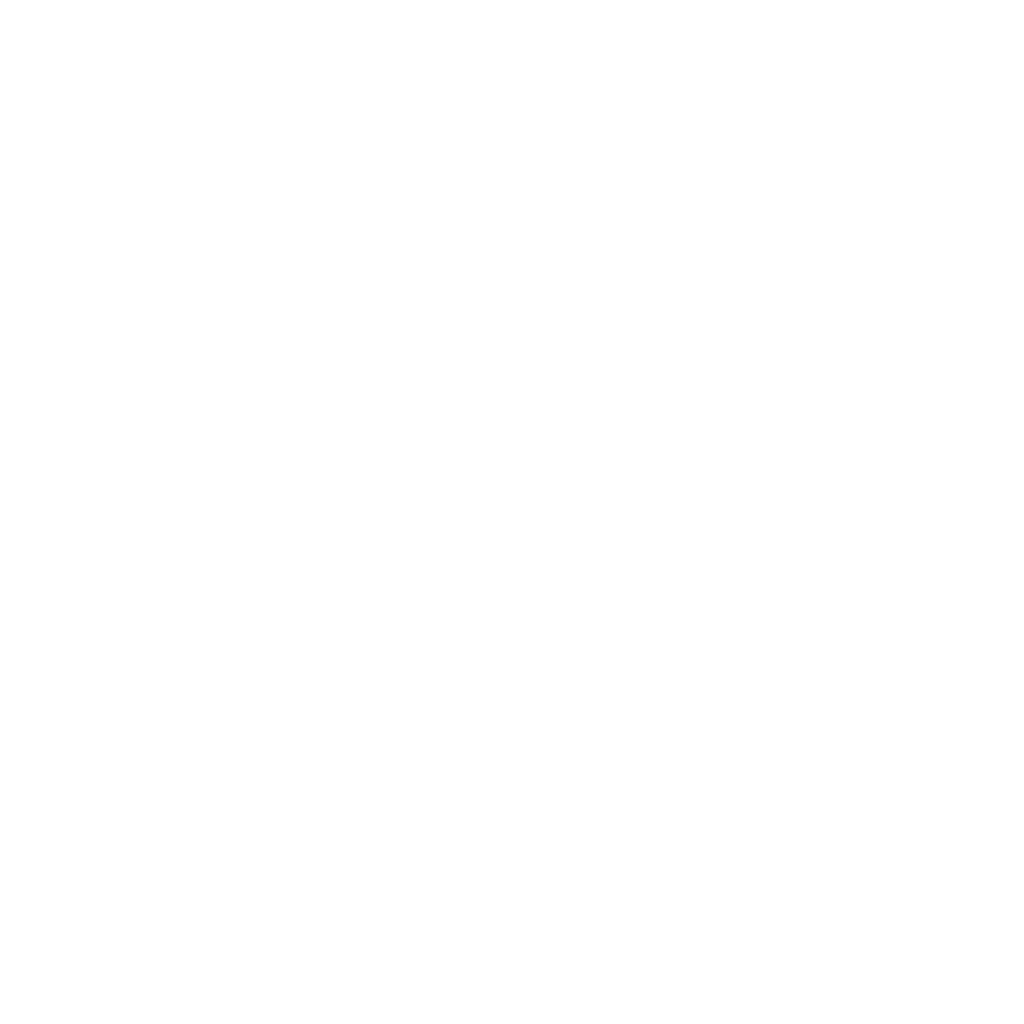 Occupational Performance Group