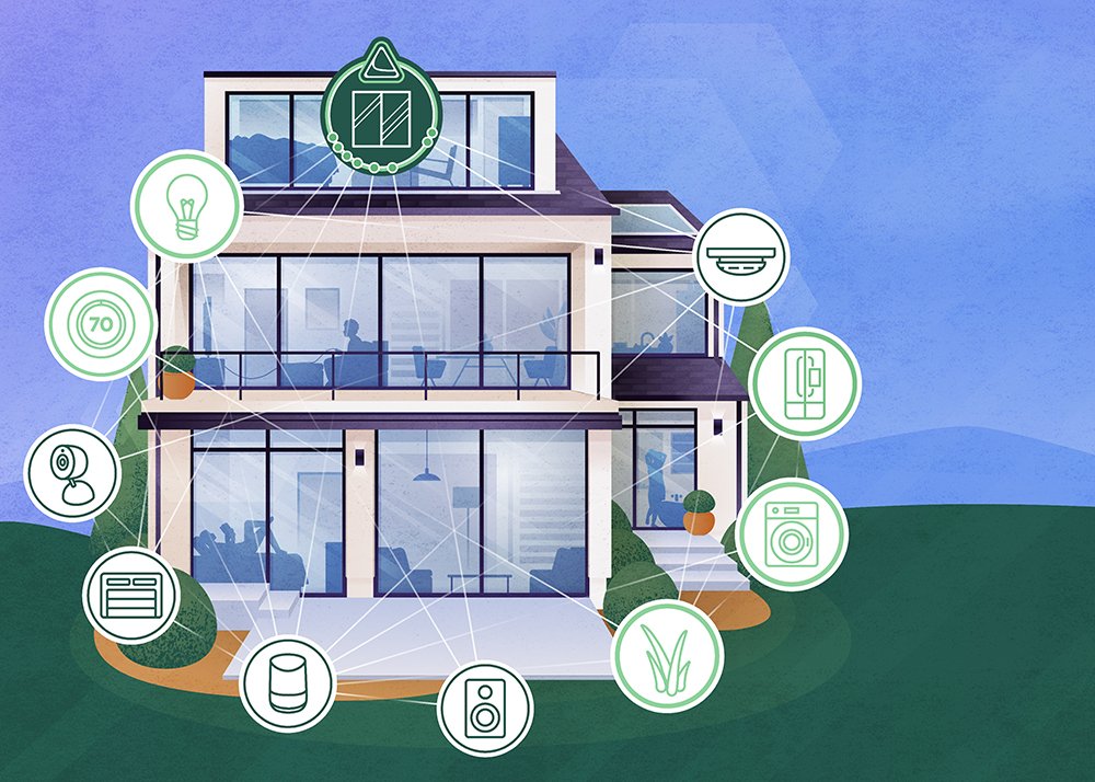 Illustrations, Icons, + Infographics