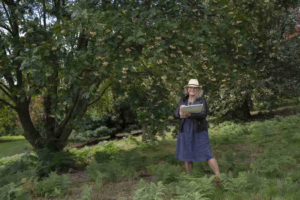 A Year In The Yorkshire Arboretum