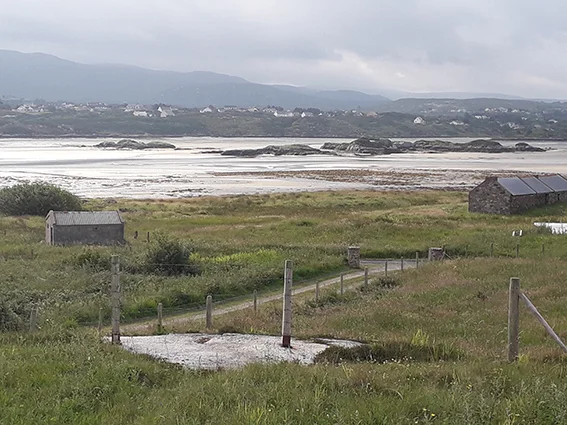 2019-06-29 09.46.59.jpg