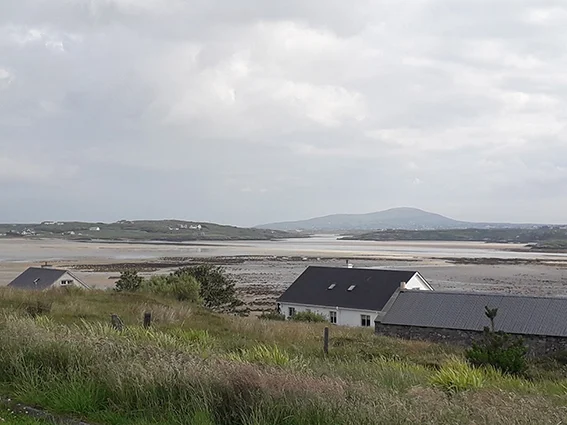 2019-06-29 09.47.03.jpg