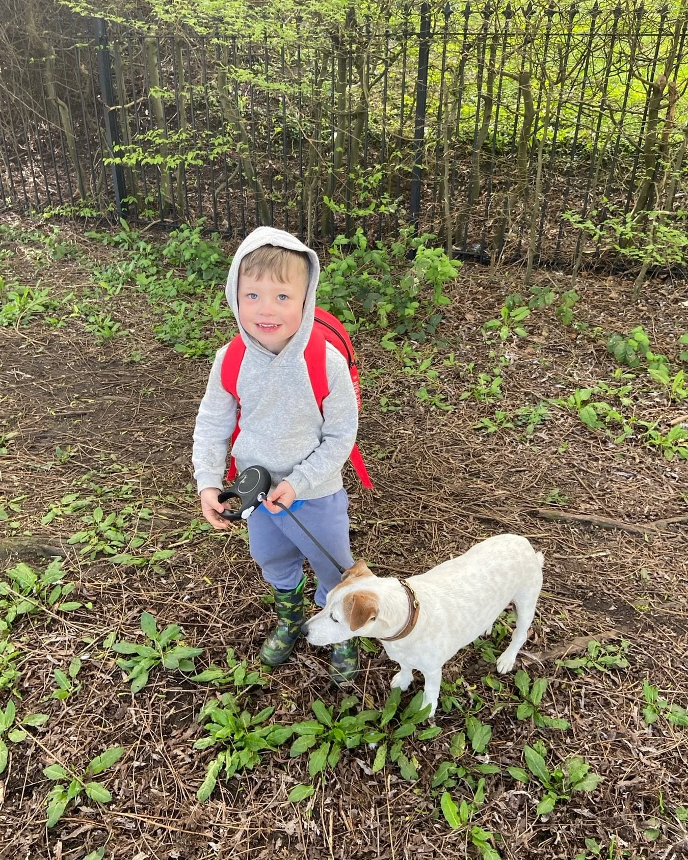 Best boy

#rowntreespark #rowntreesparkyork #lesleyseegerpaintings #jackrussellsinstagram #parklife #doggaurdian