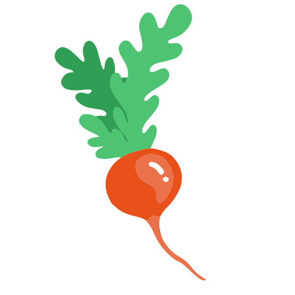 a playful illustration of a radish