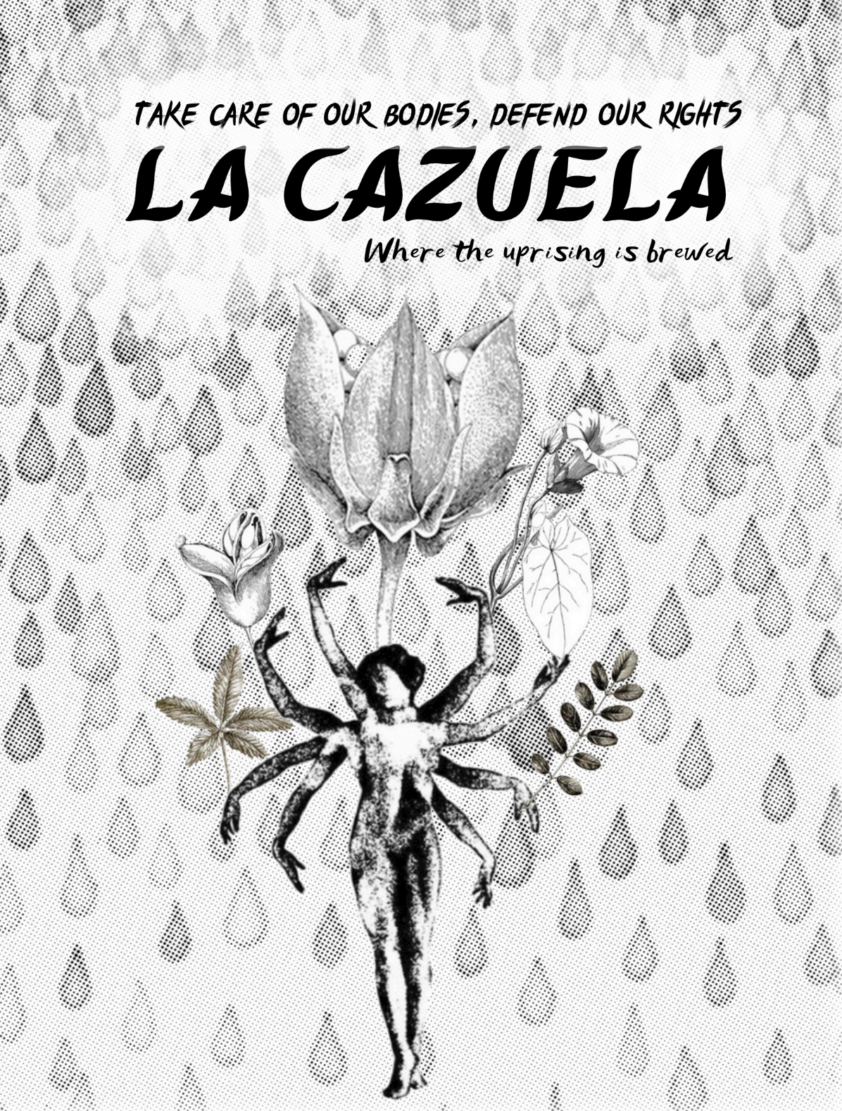 La cazuela VOL 3 11/2024 (English)