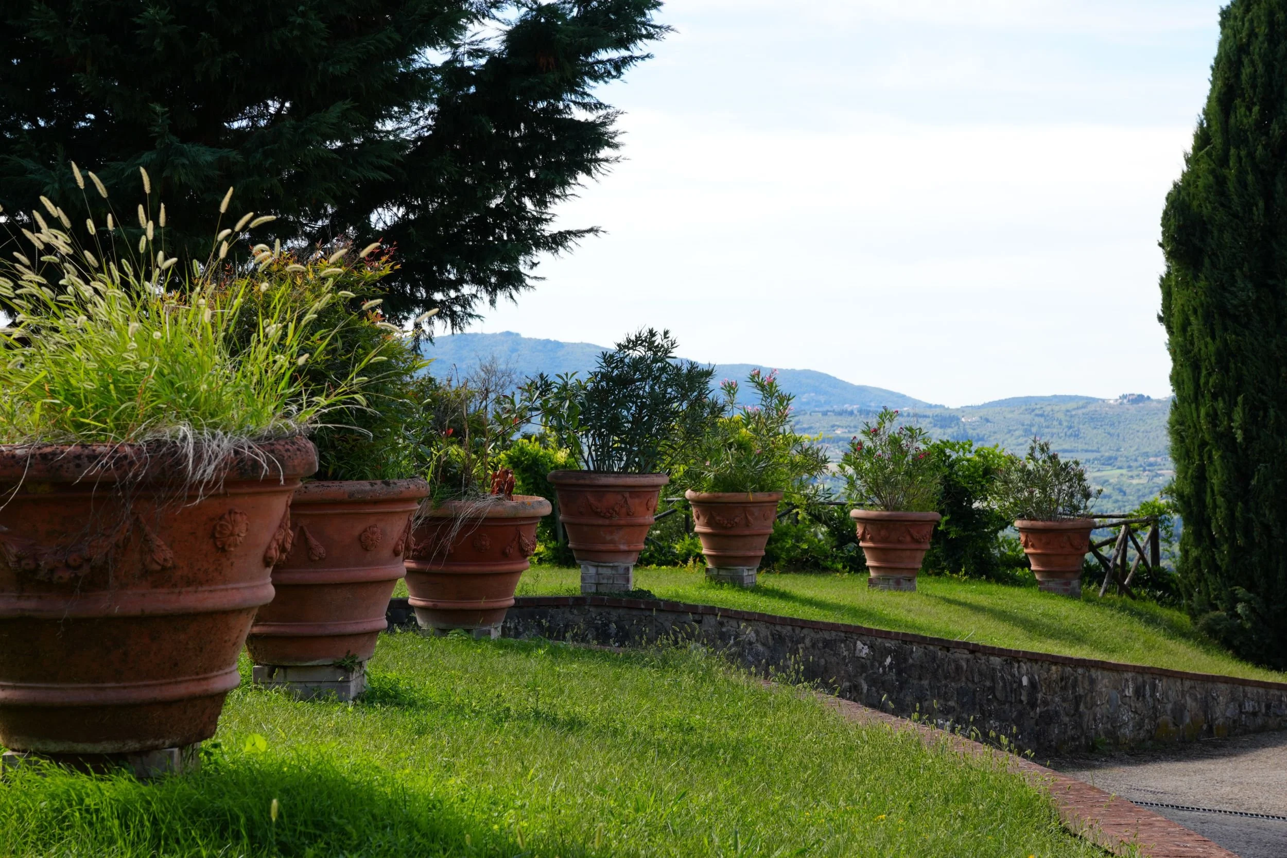 Row of large terracotta planters with greenery on a grassy incline, with trees and a mountain landscape in the background.