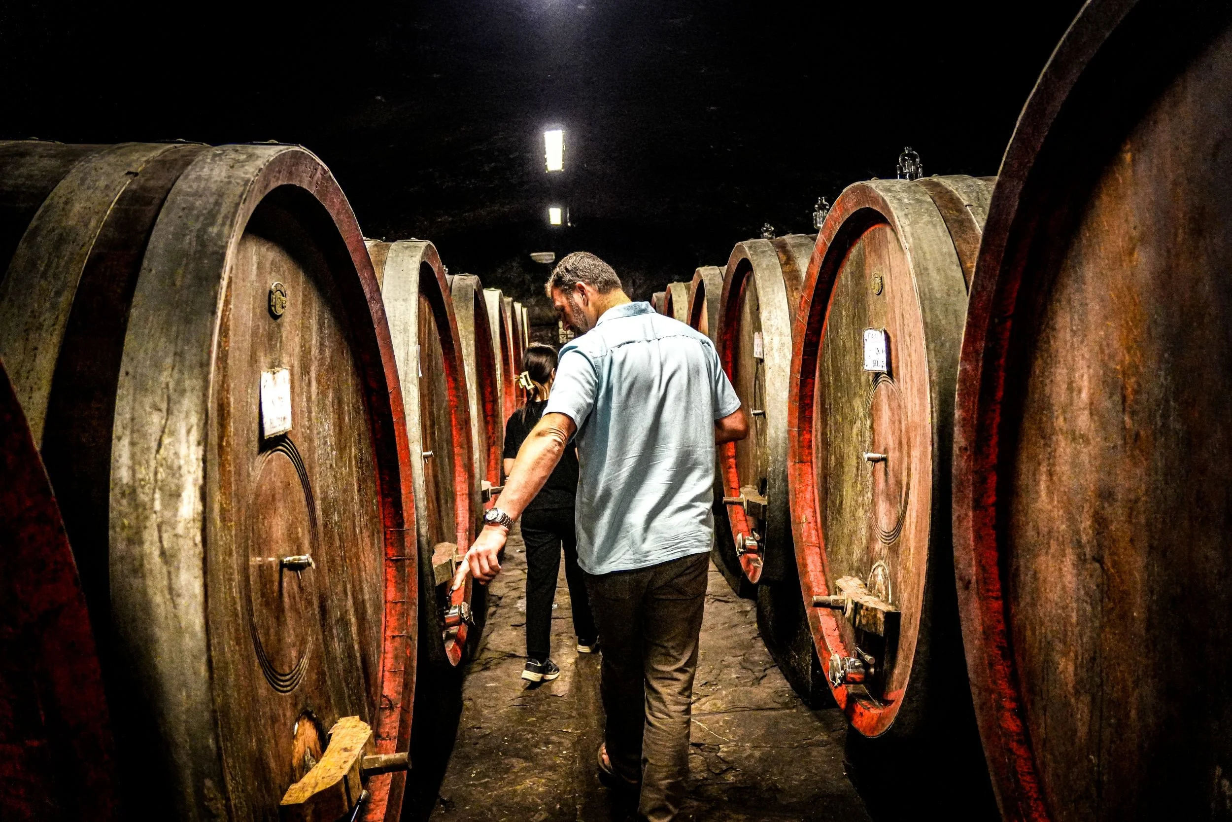 People touring a wine cellar with large wooden barrels.