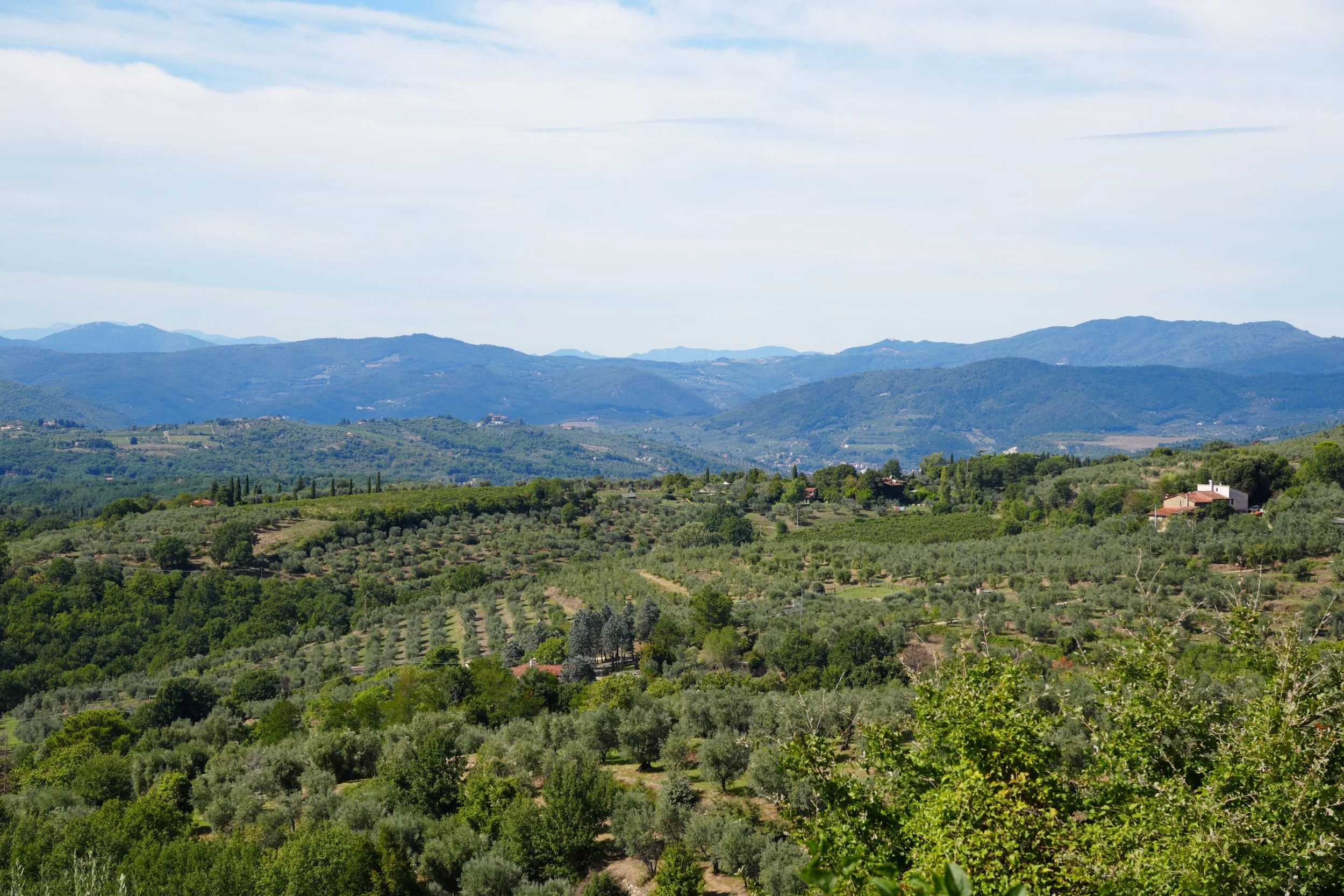 Scenic view of rolling green hills and mountains with scattered houses and agricultural fields under a partly cloudy sky.