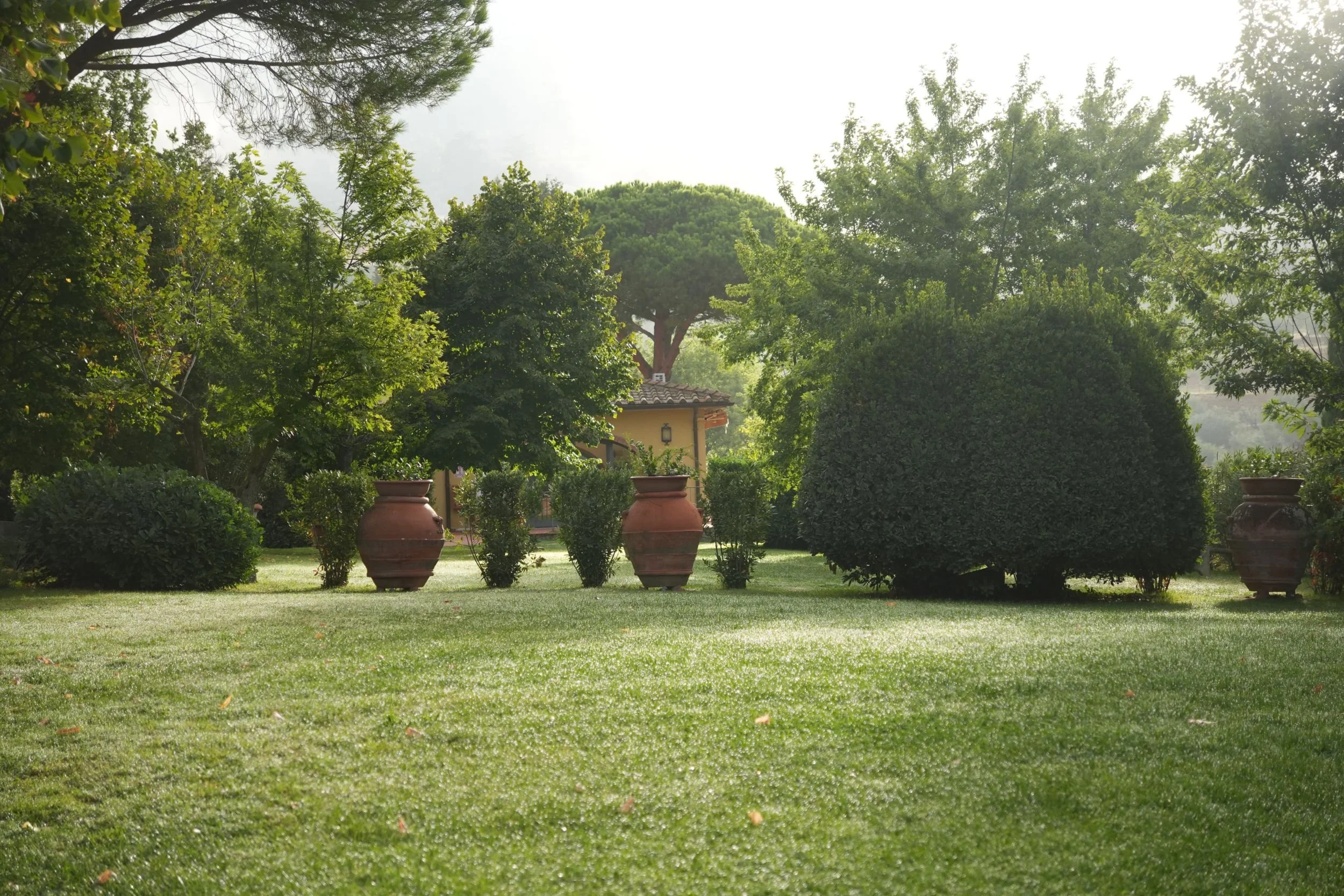 A lush, green garden with well-maintained grass, large trimmed bushes, and decorative terracotta pots. Tall trees surround the area, and a small building with a tiled roof is visible in the background, illuminated by soft sunlight.