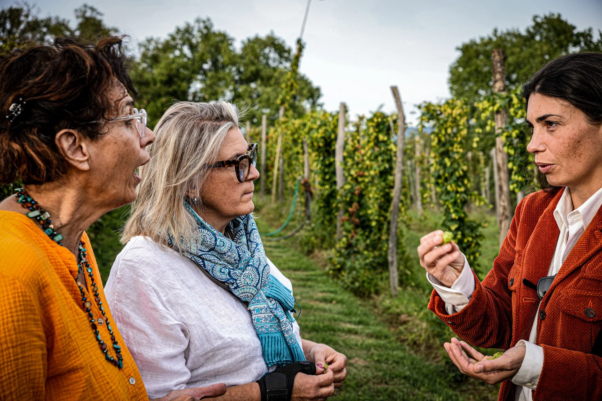 Italy experience, learning on the farm