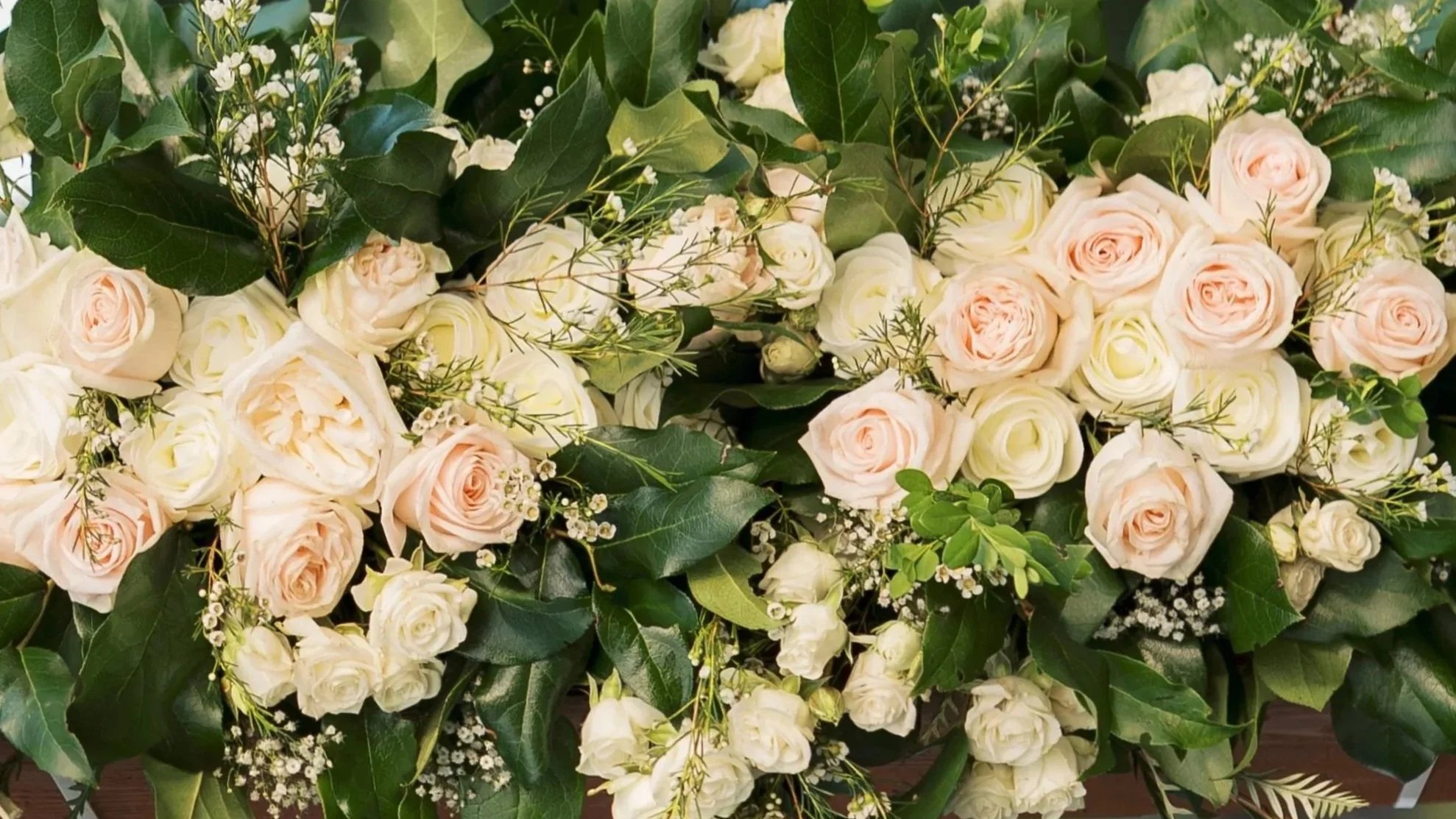 A large arrangement of white and pale pink roses surrounded by green leaves and small white filler flowers.