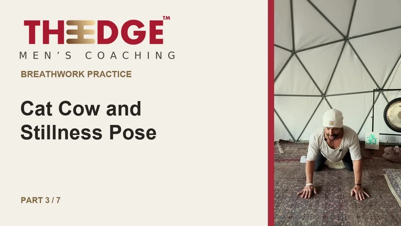 Cat Cow and Stillness Pose — The Edge Breathwork Practice, part 3 of 7
