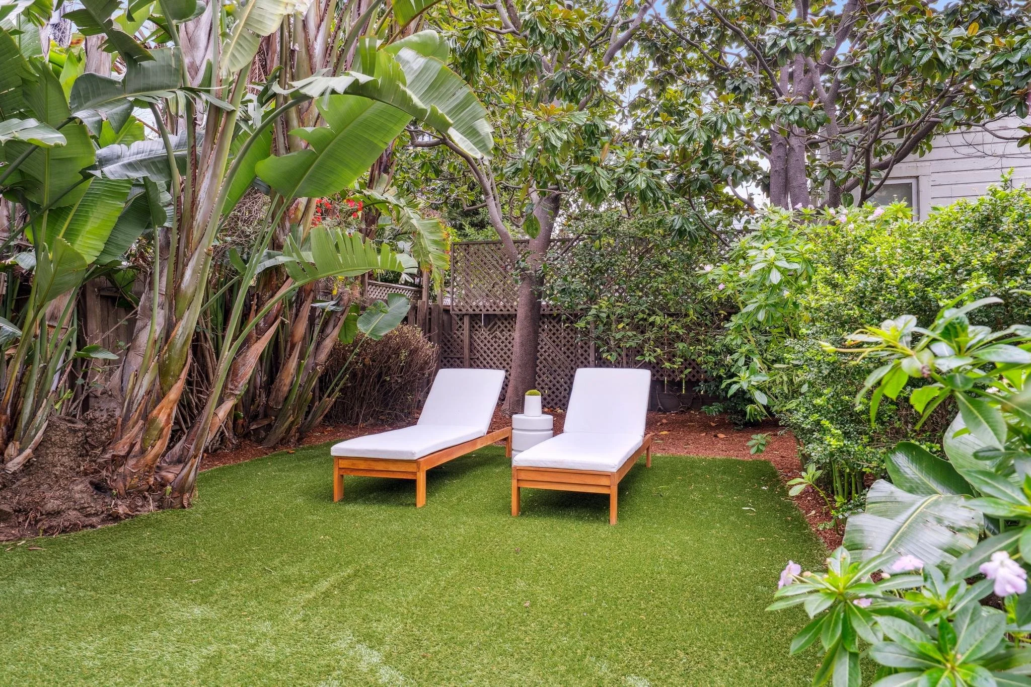A backyard scene with two white lounge chairs with wooden frames on a well-maintained green lawn. There is a small white table between the chairs. Surrounding the area are large tropical plants and bushes, with a wooden fence and a house partially vi
