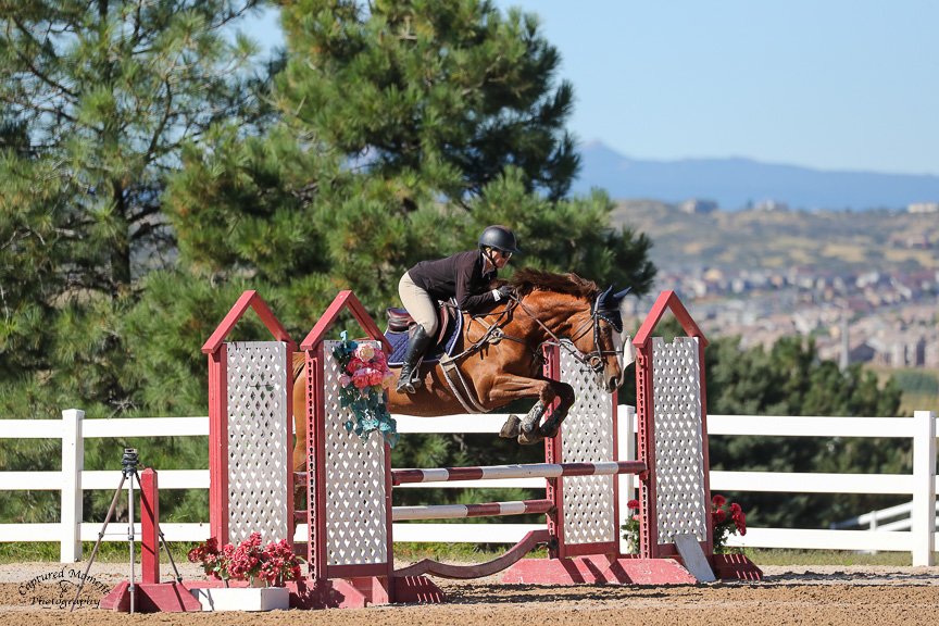 Jockey in black helmet and jacket riding a brown horse jumping over a red and white obstacle during a show jumping competition at an outdoor arena with trees and hills in the background.