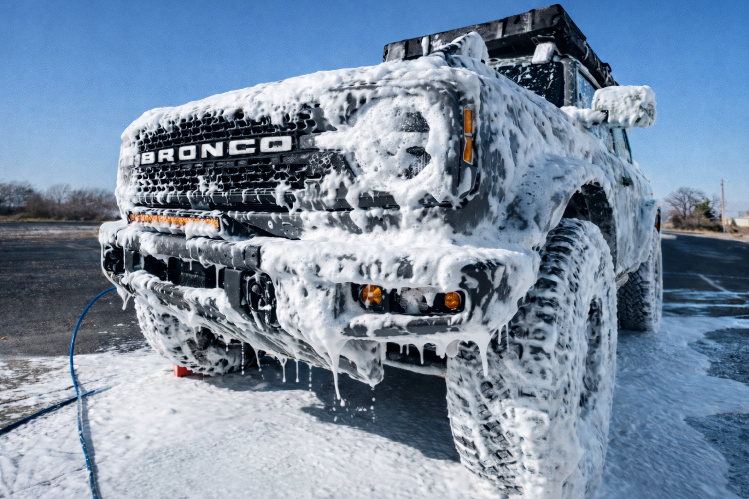 Full service Detail: Exterior, Interior, Tires, and Steamed Carpets