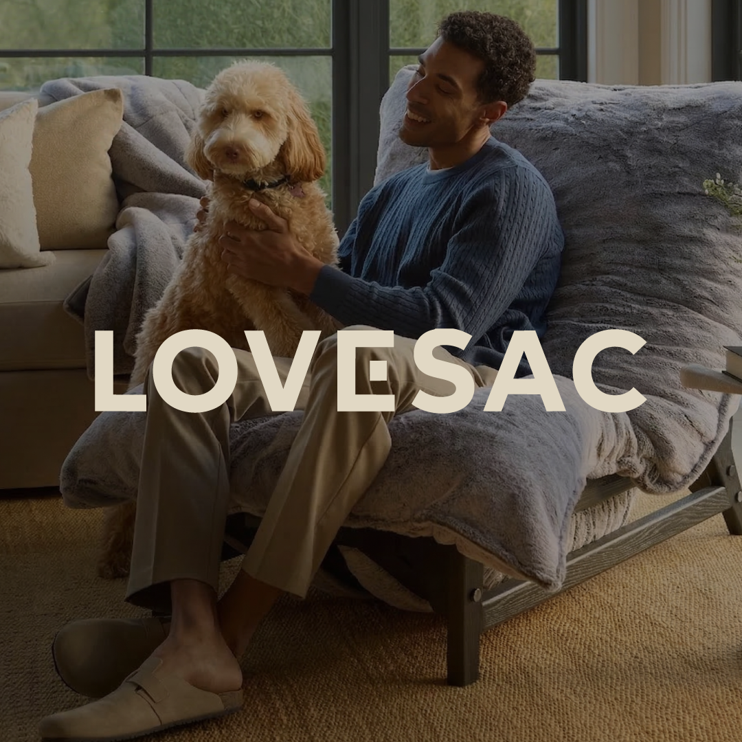LOVESAC Furniture