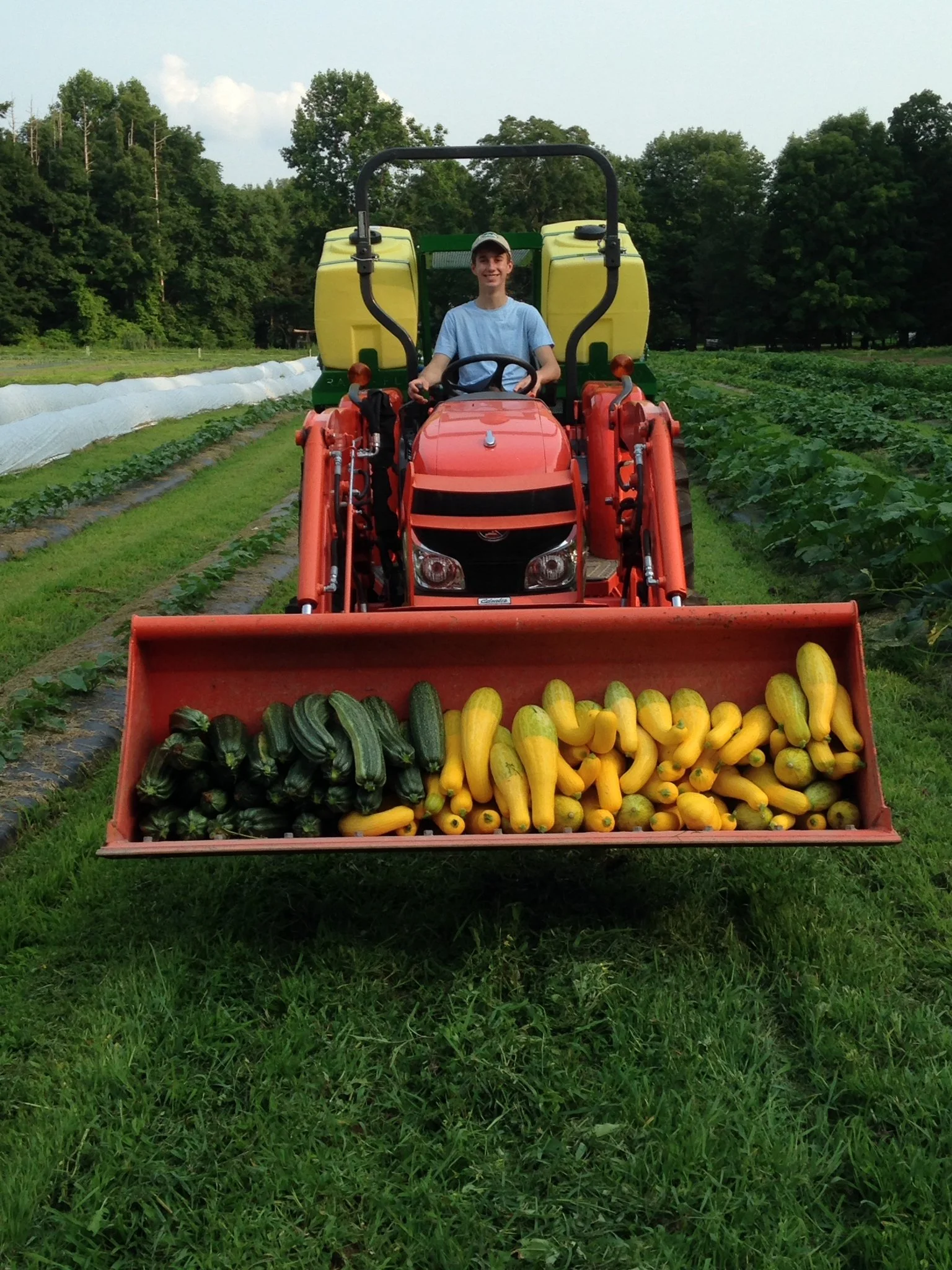 A young man driving a red tractor on a farm field, with a front loader filled with yellow zucchinis and green zucchinis. Vegetation and trees in the background under a partly cloudy sky.
