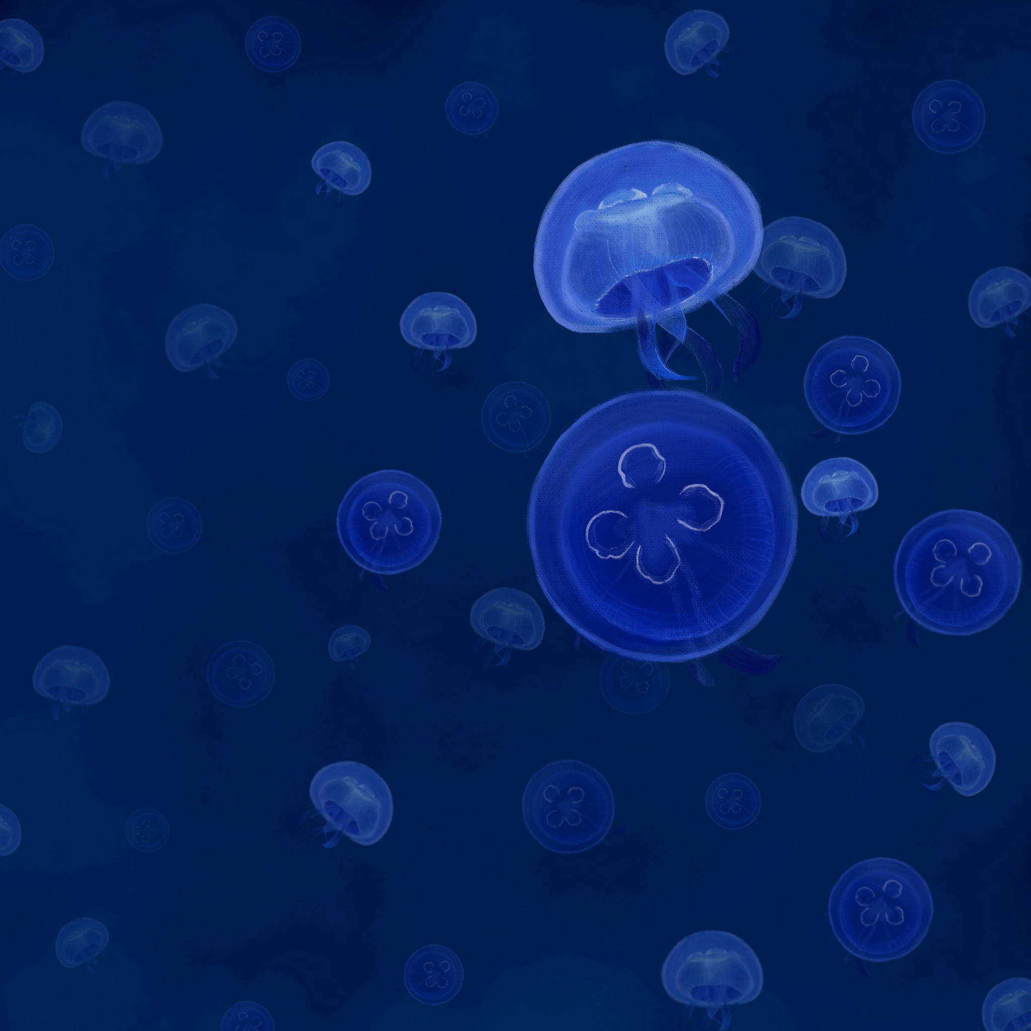 Untitled_Artwork 12.png