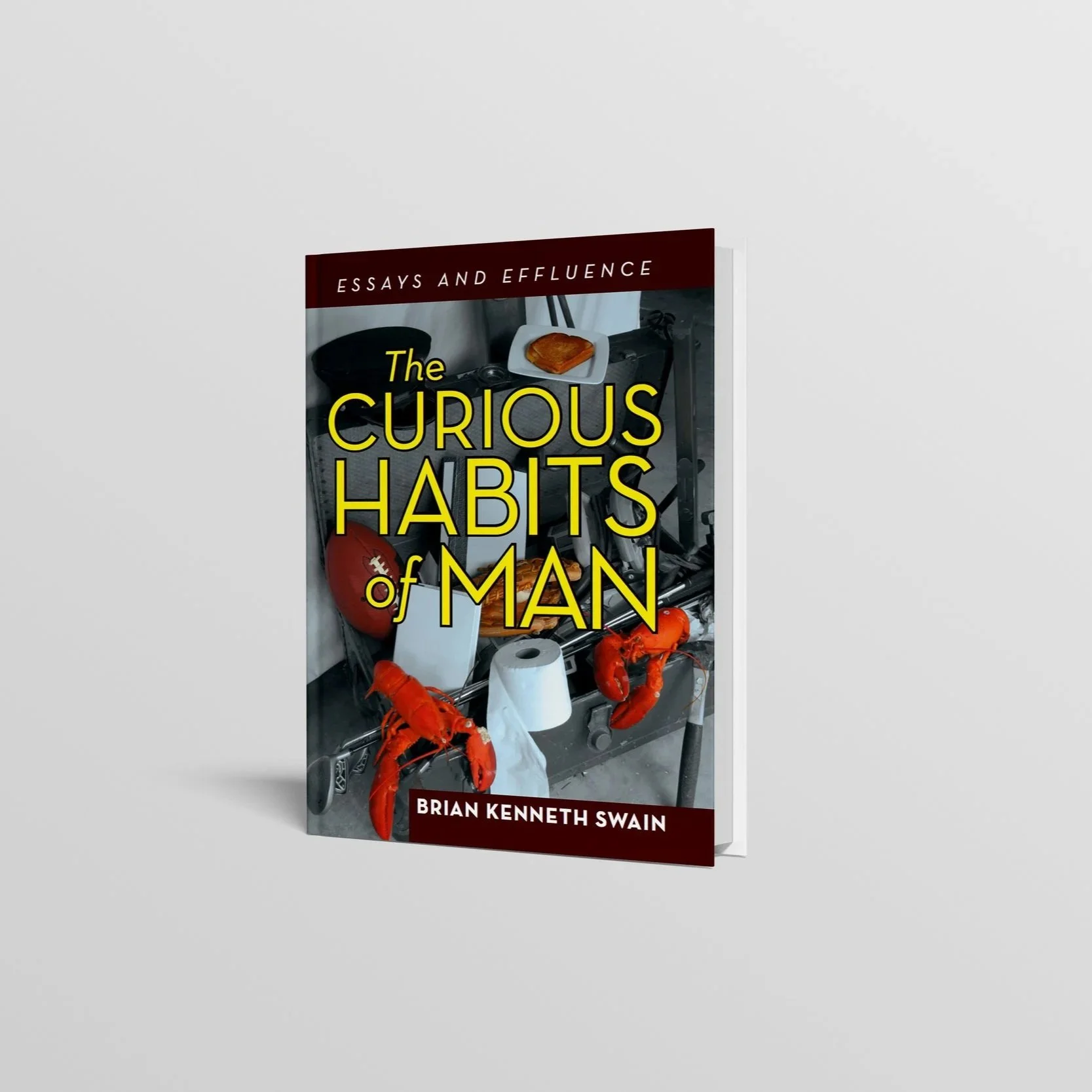 Book titled "The Curious Habits of Man" by Brian Kenneth Swain, with a cover image featuring a stove with a red lobster, a football, a roll of paper towels, and a piece of toast in a kitchen.
