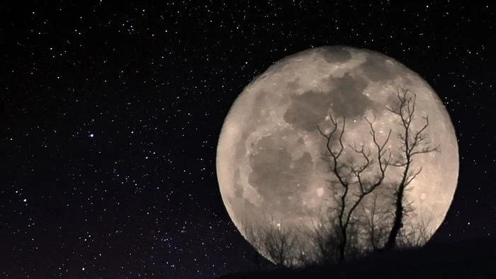 The Moon is Dead