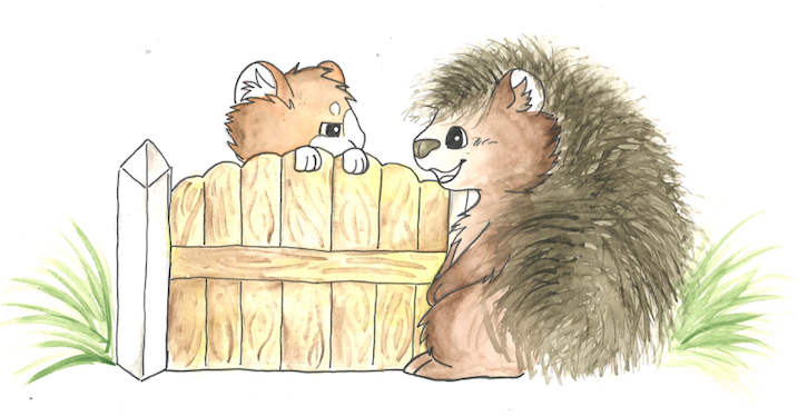 Cute drawing of a kitten and a hedgehog meeting behind a wooden fence with grass on both sides.