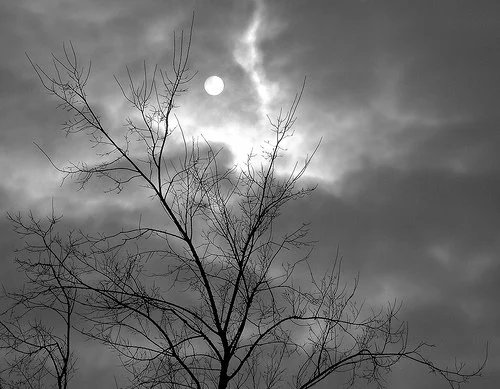 Taking Care of Things