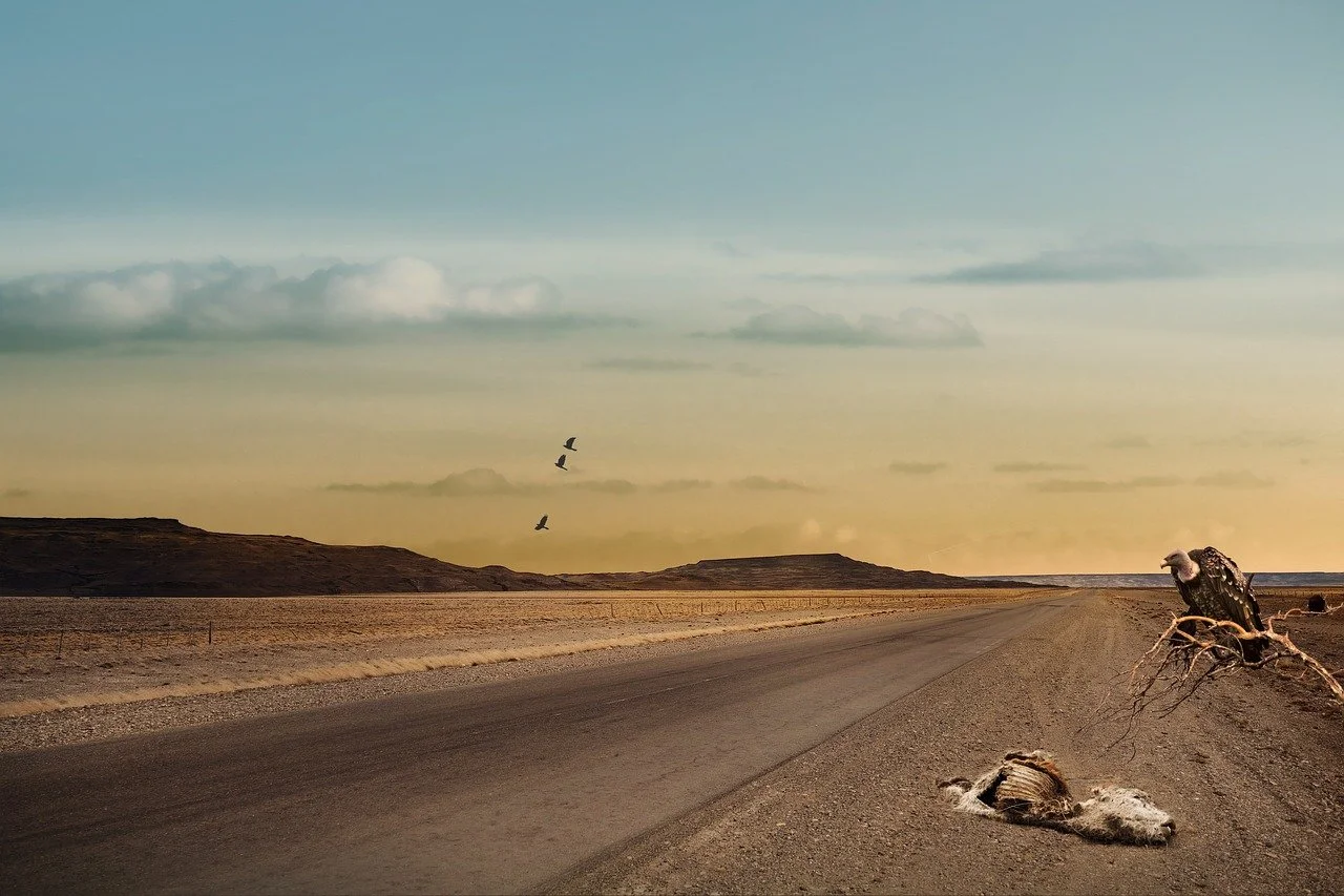 12 Miles South of Somewhere