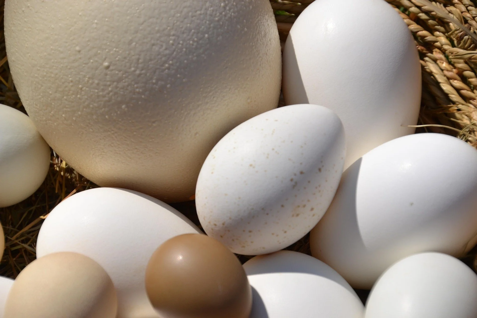 Alabaster Egg