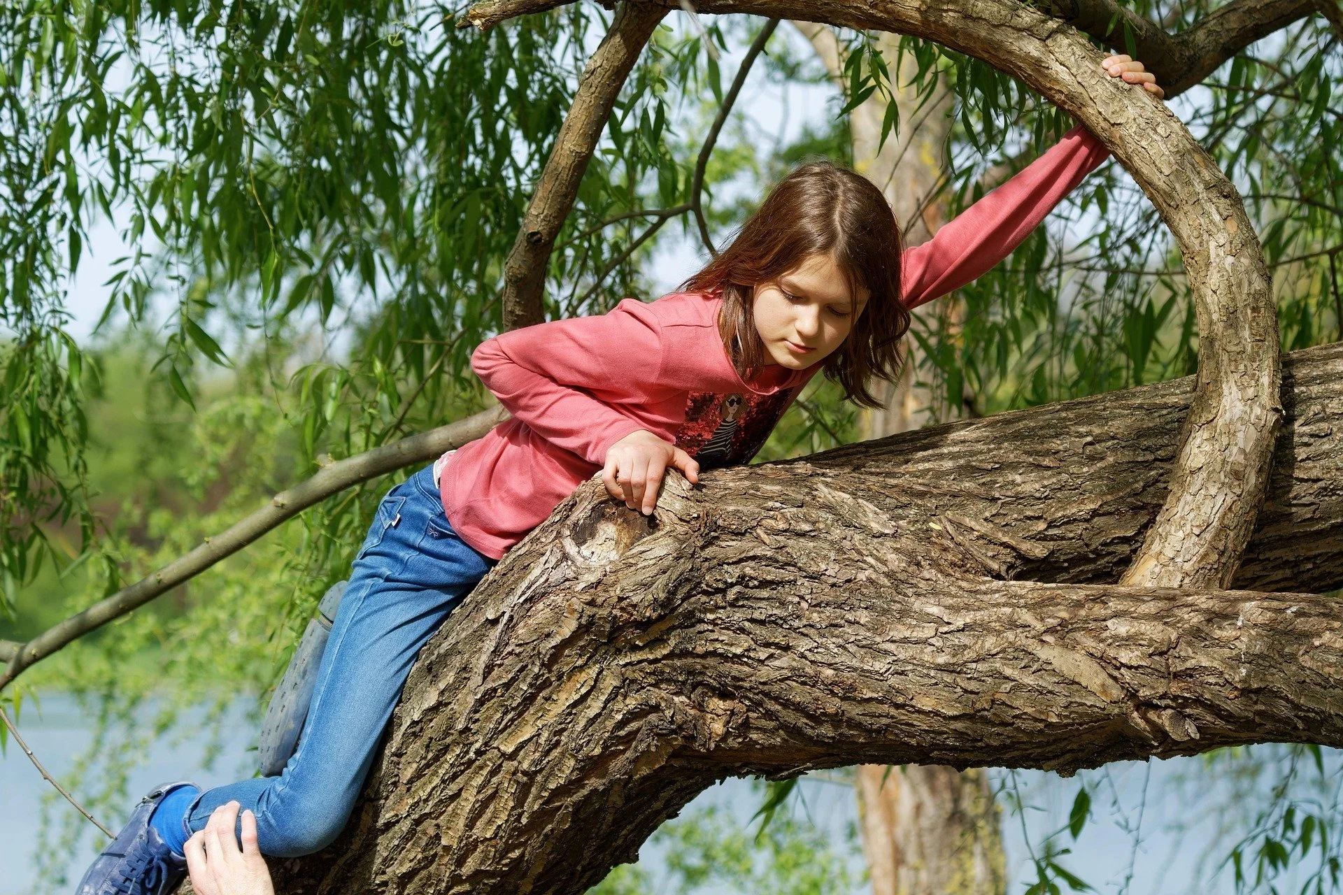 How Old is Too Old to Climb a Tree?